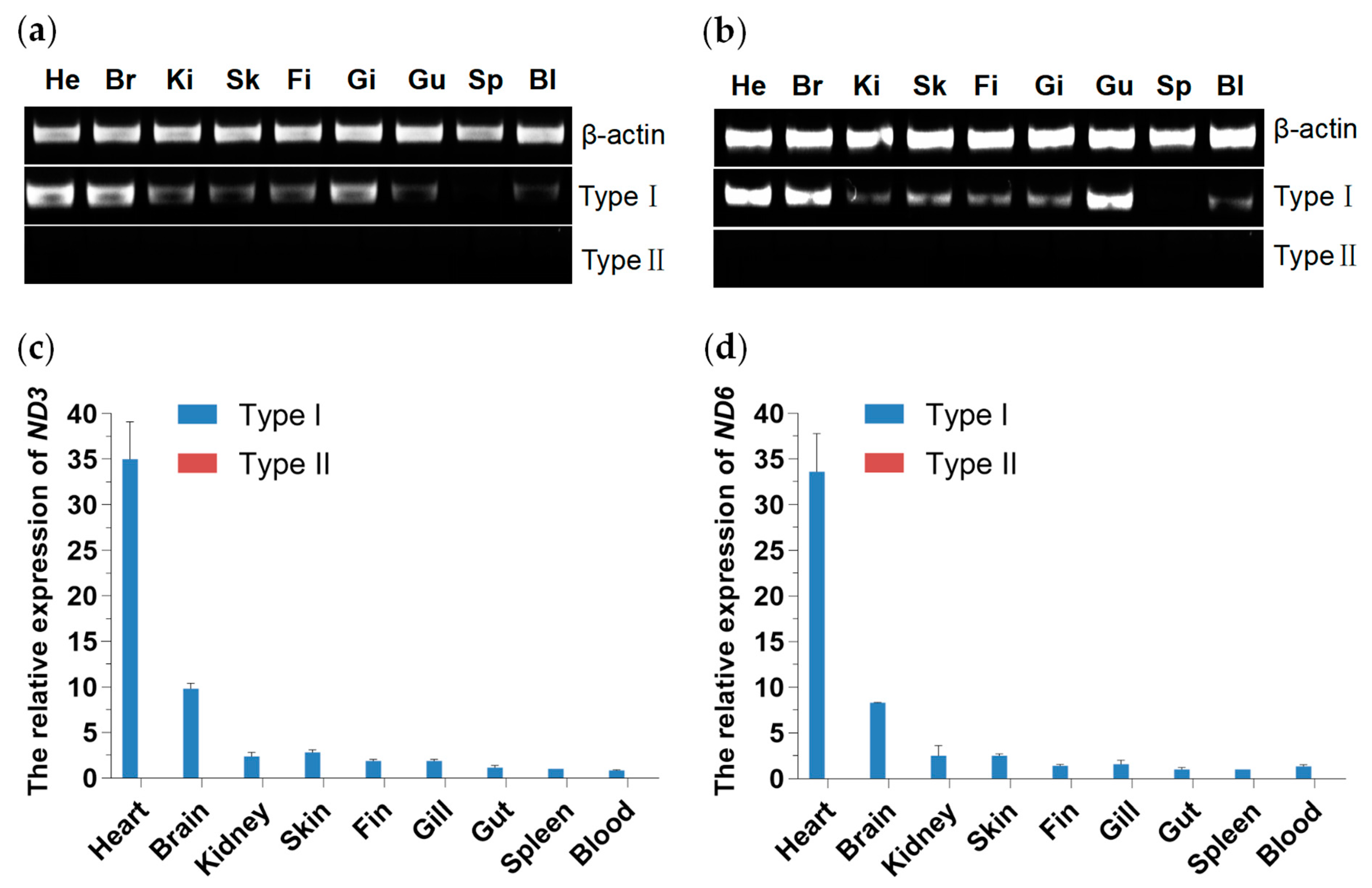 Biology 13 00604 g007 Biology 13 00604 g007