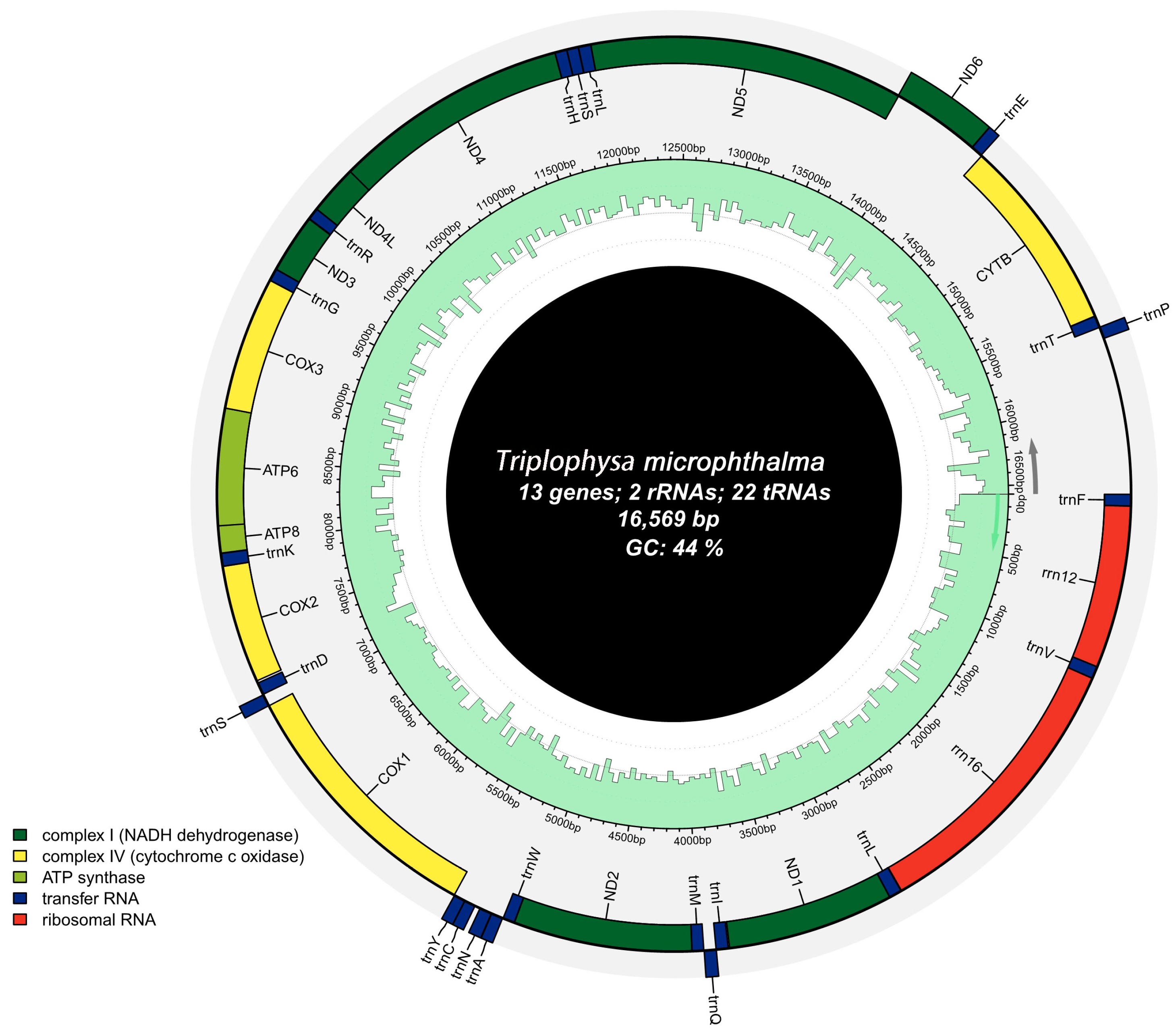 Biology 13 00608 g001