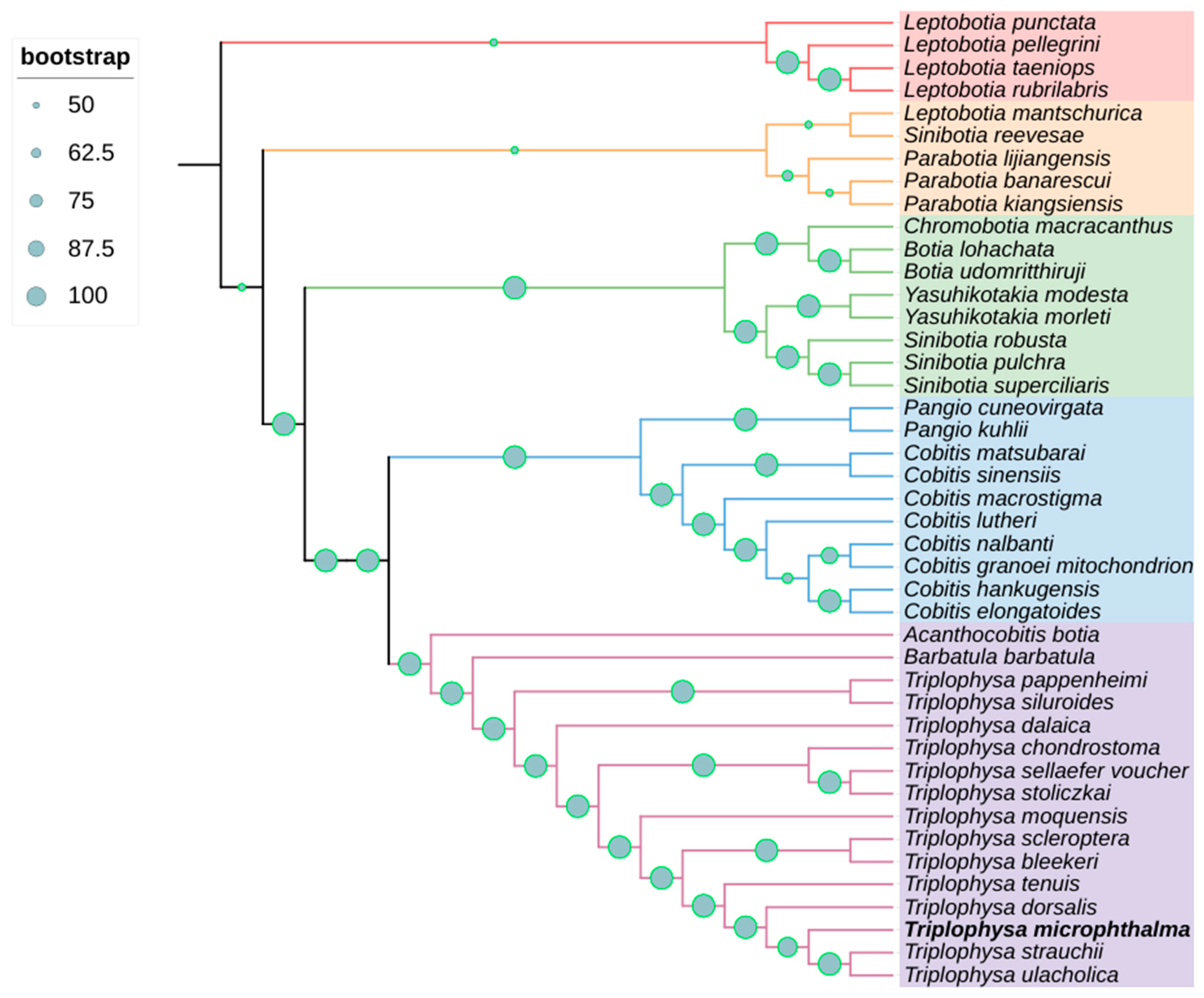 Biology 13 00608 g004
