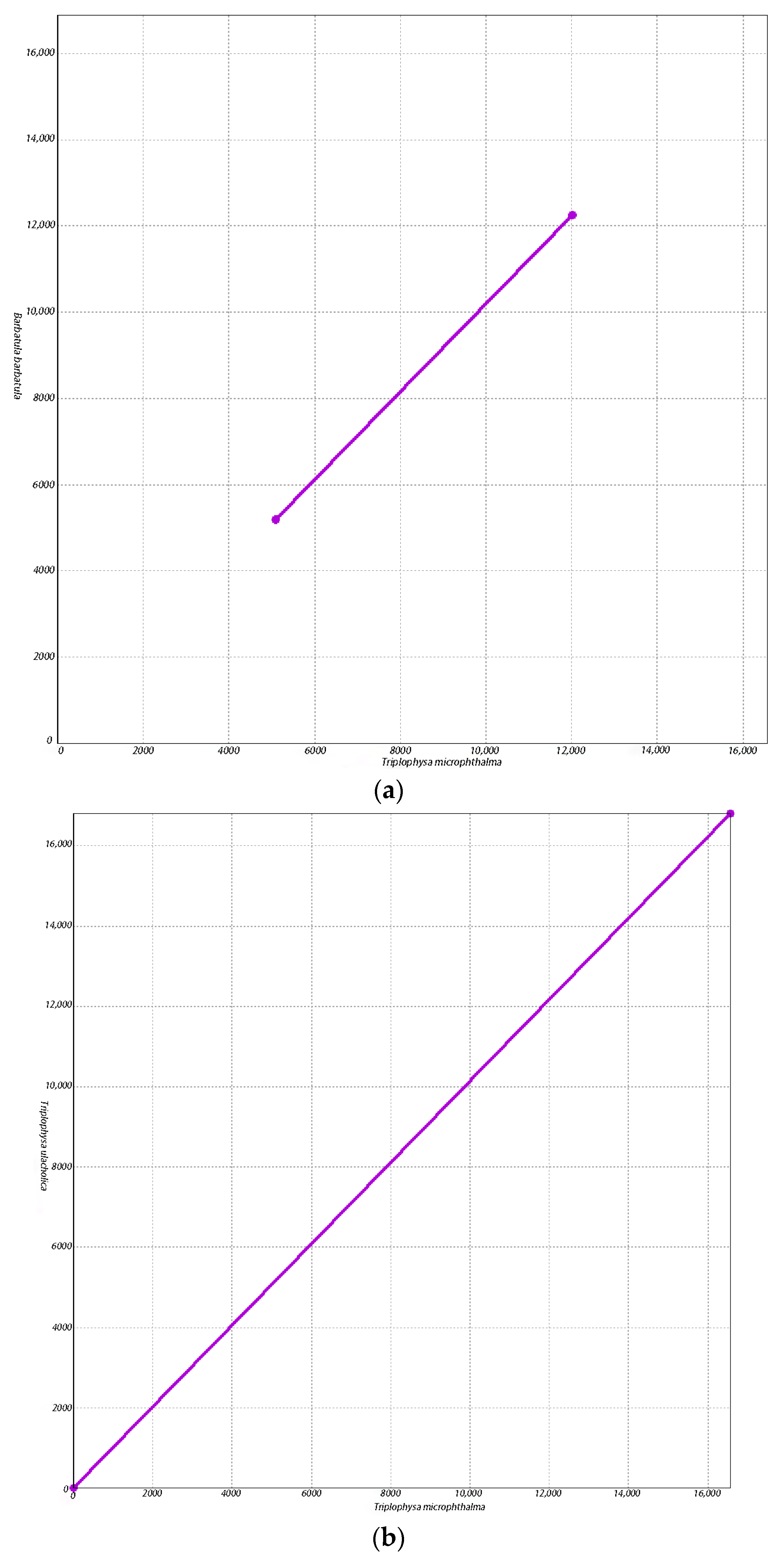Biology 13 00608 g005a