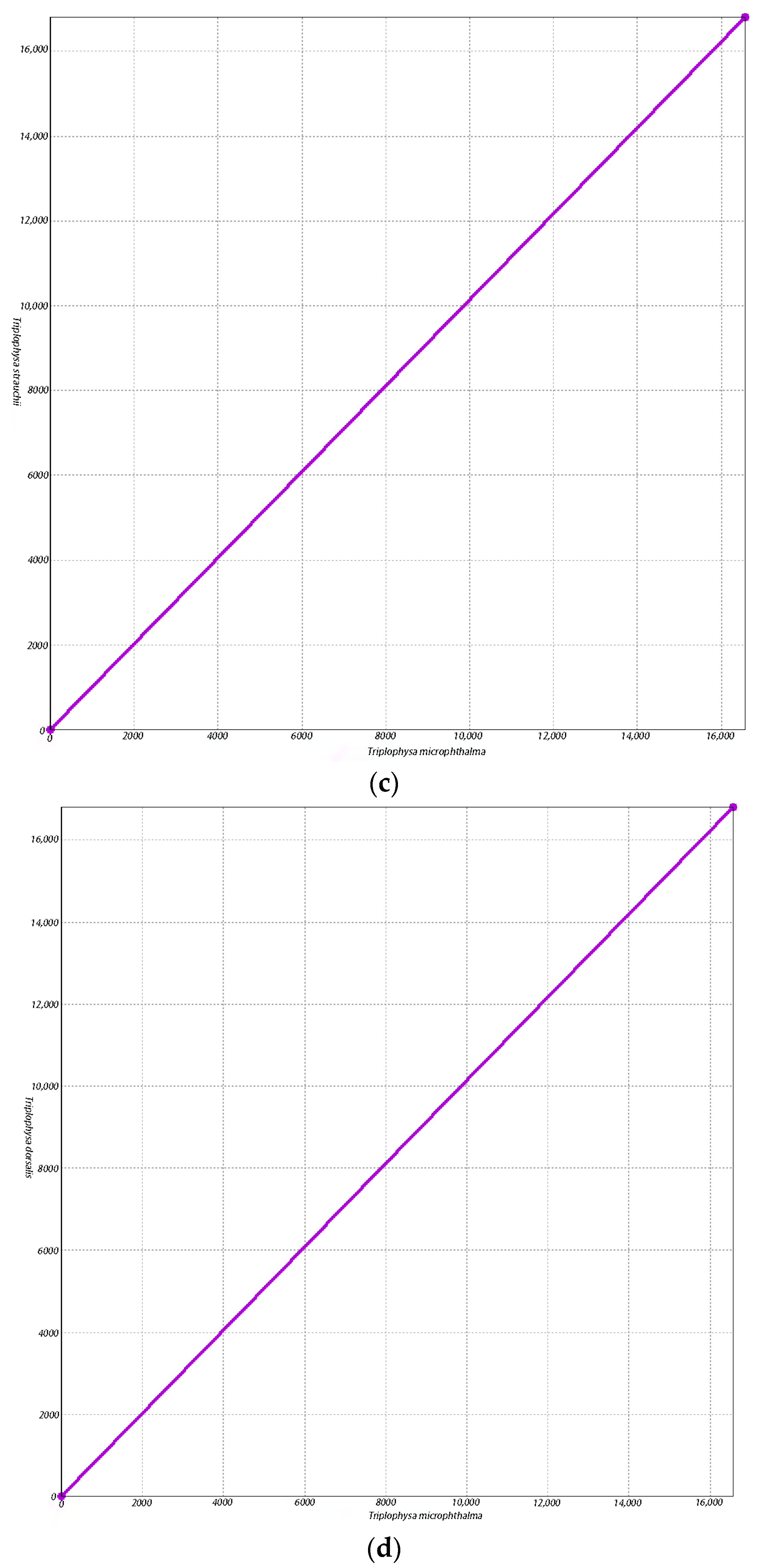 Biology 13 00608 g005b