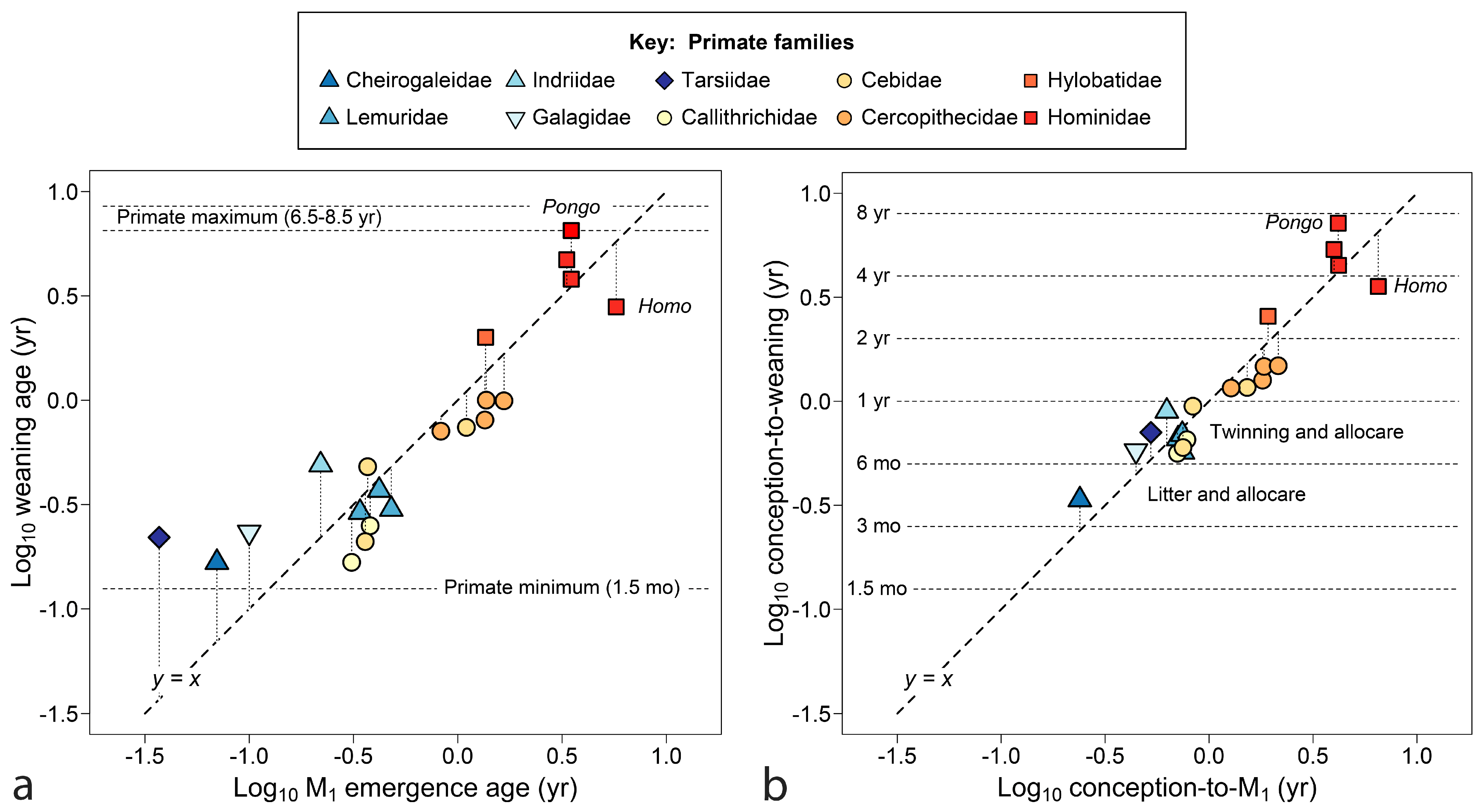 Biology 13 00612 g003