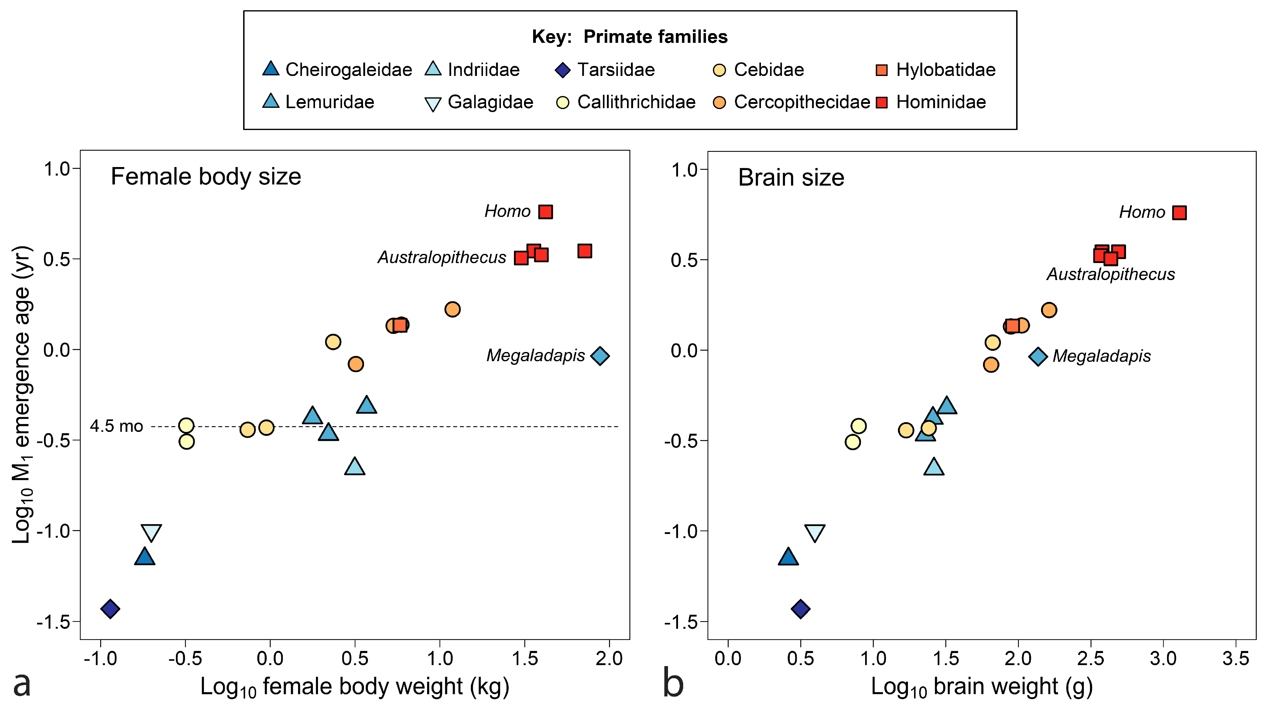 Biology 13 00612 g004