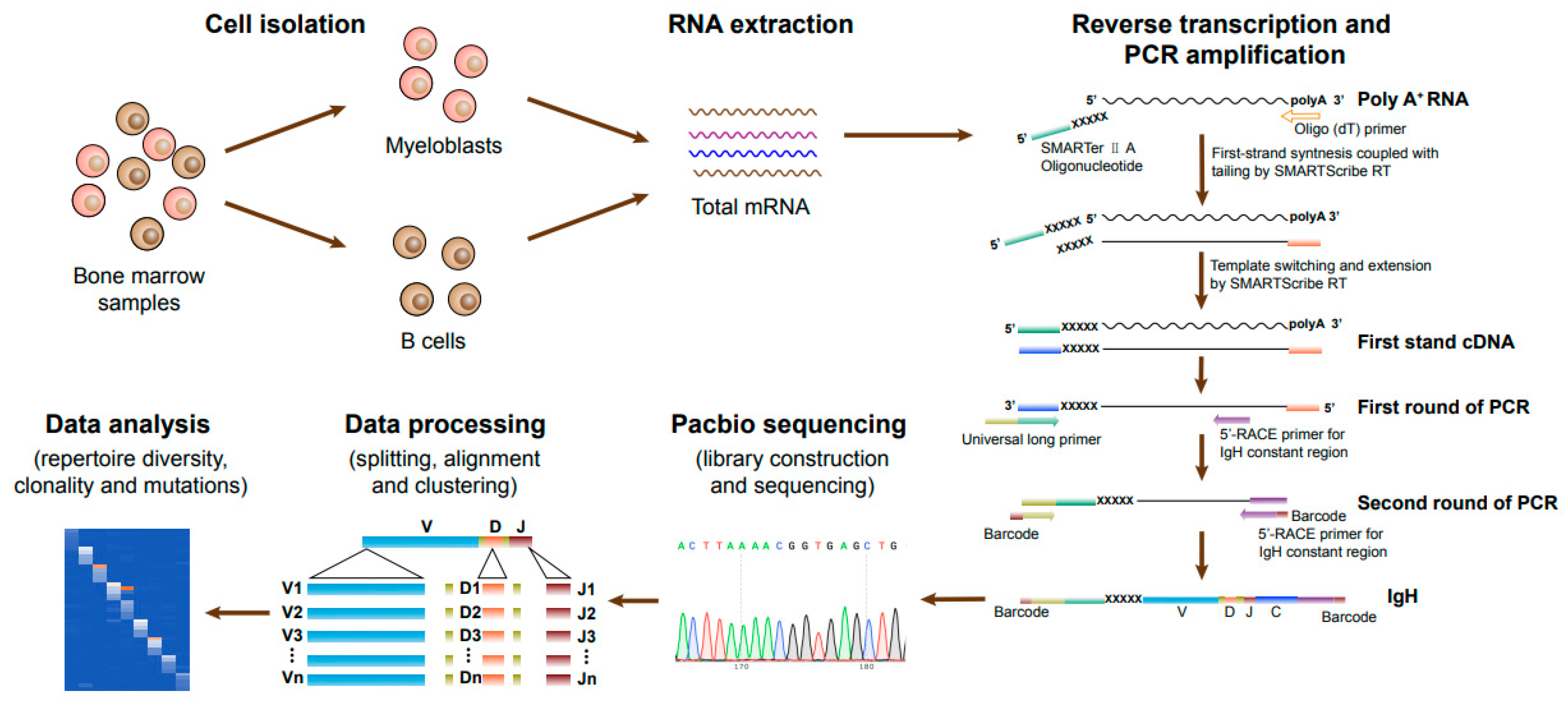Biology 13 00613 g001 Biology 13 00613 g001