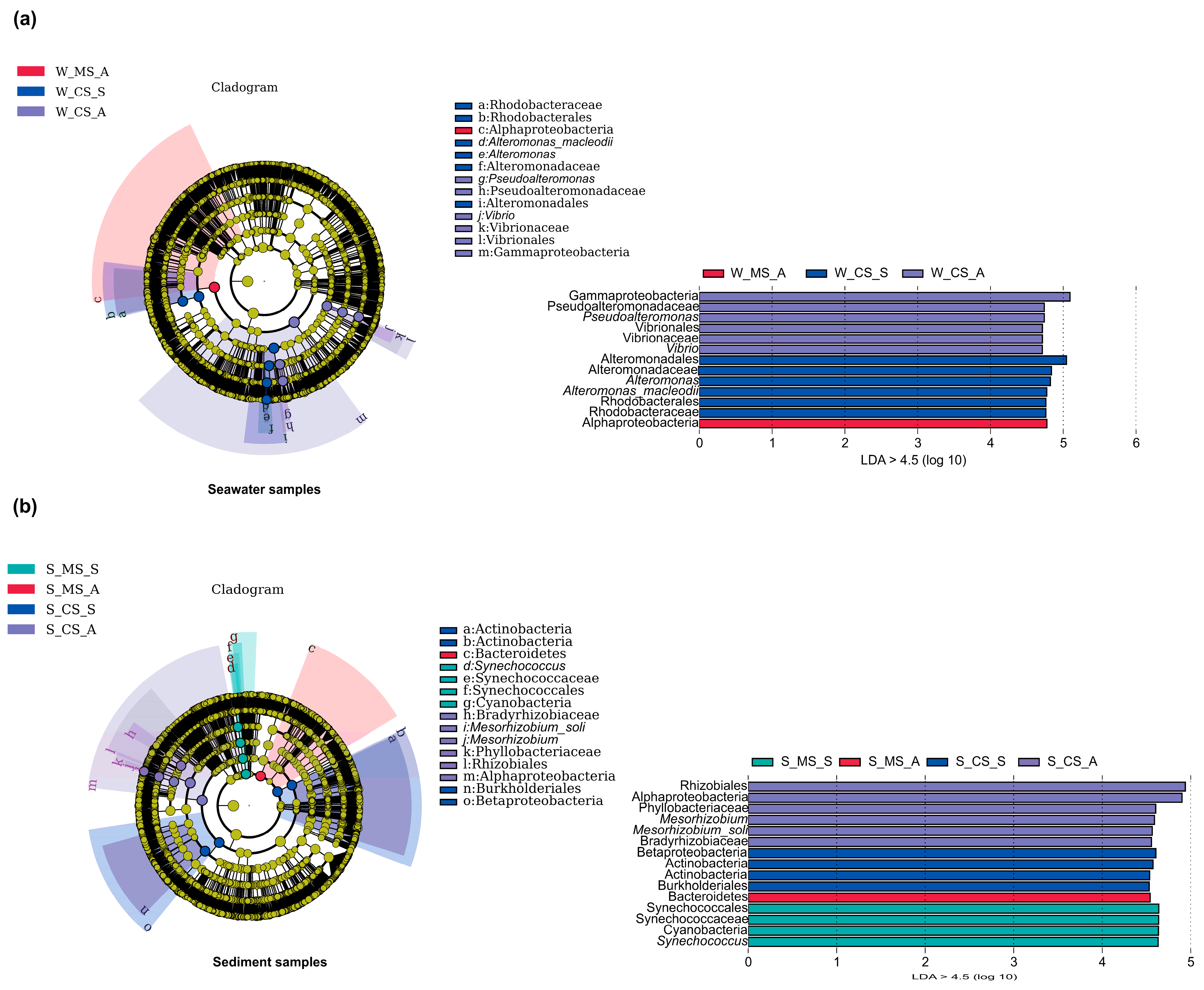 Biology 13 00618 g003