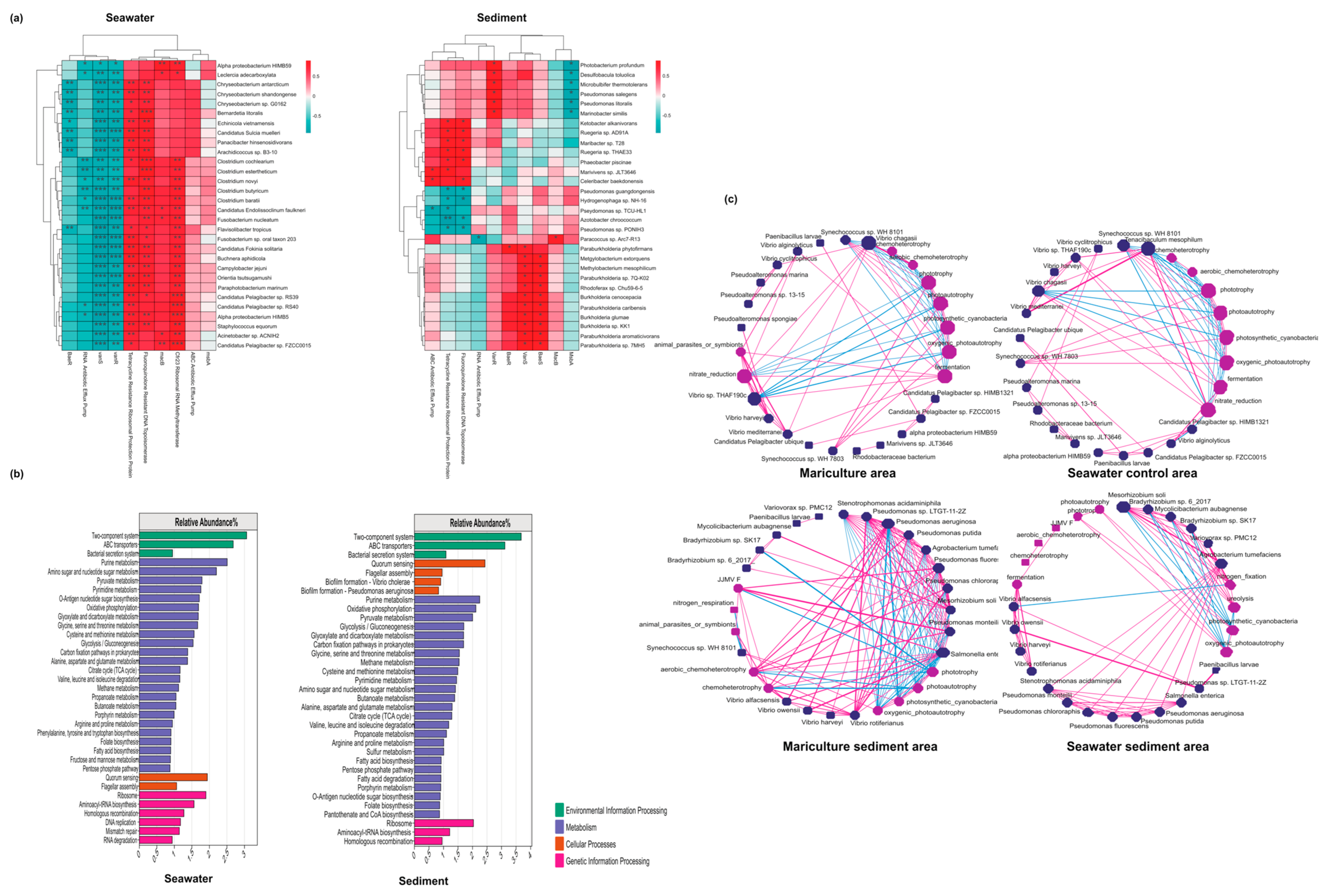 Biology 13 00618 g007