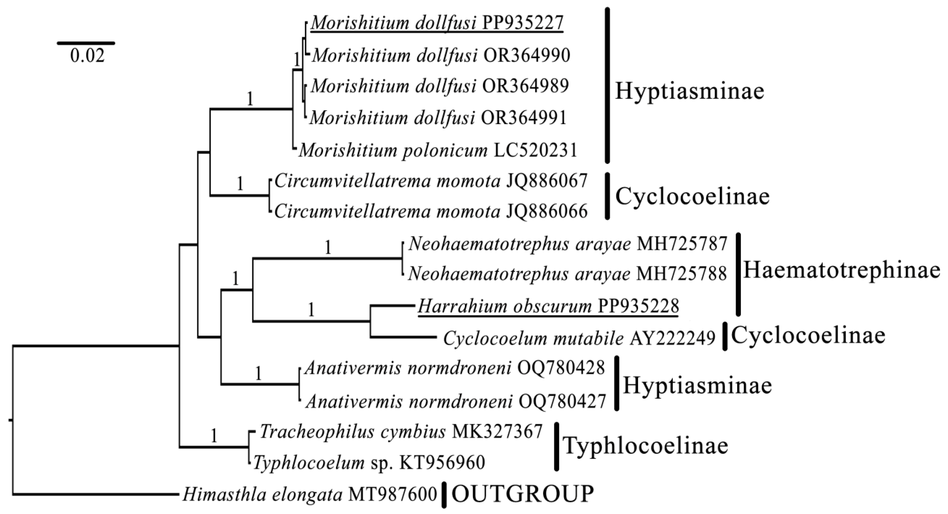 Biology 13 00621 g003 Biology 13 00621 g003