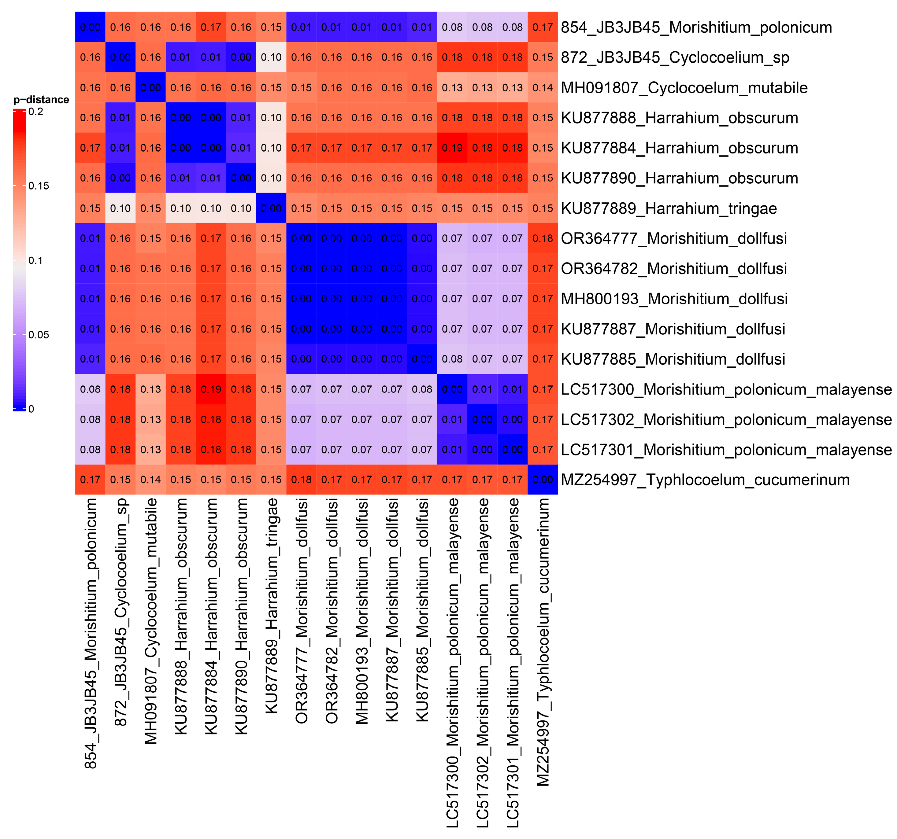 Biology 13 00621 g004 Biology 13 00621 g004