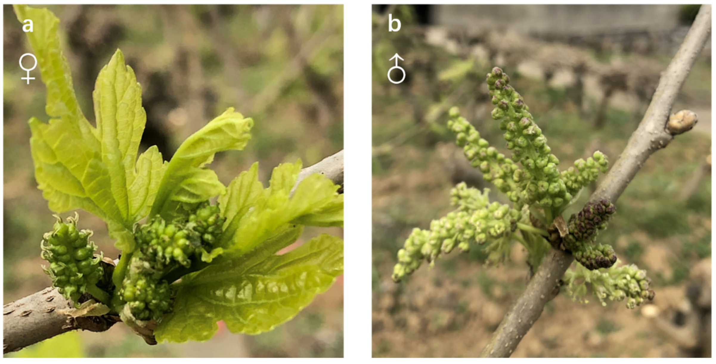 Biology 13 00622 g001