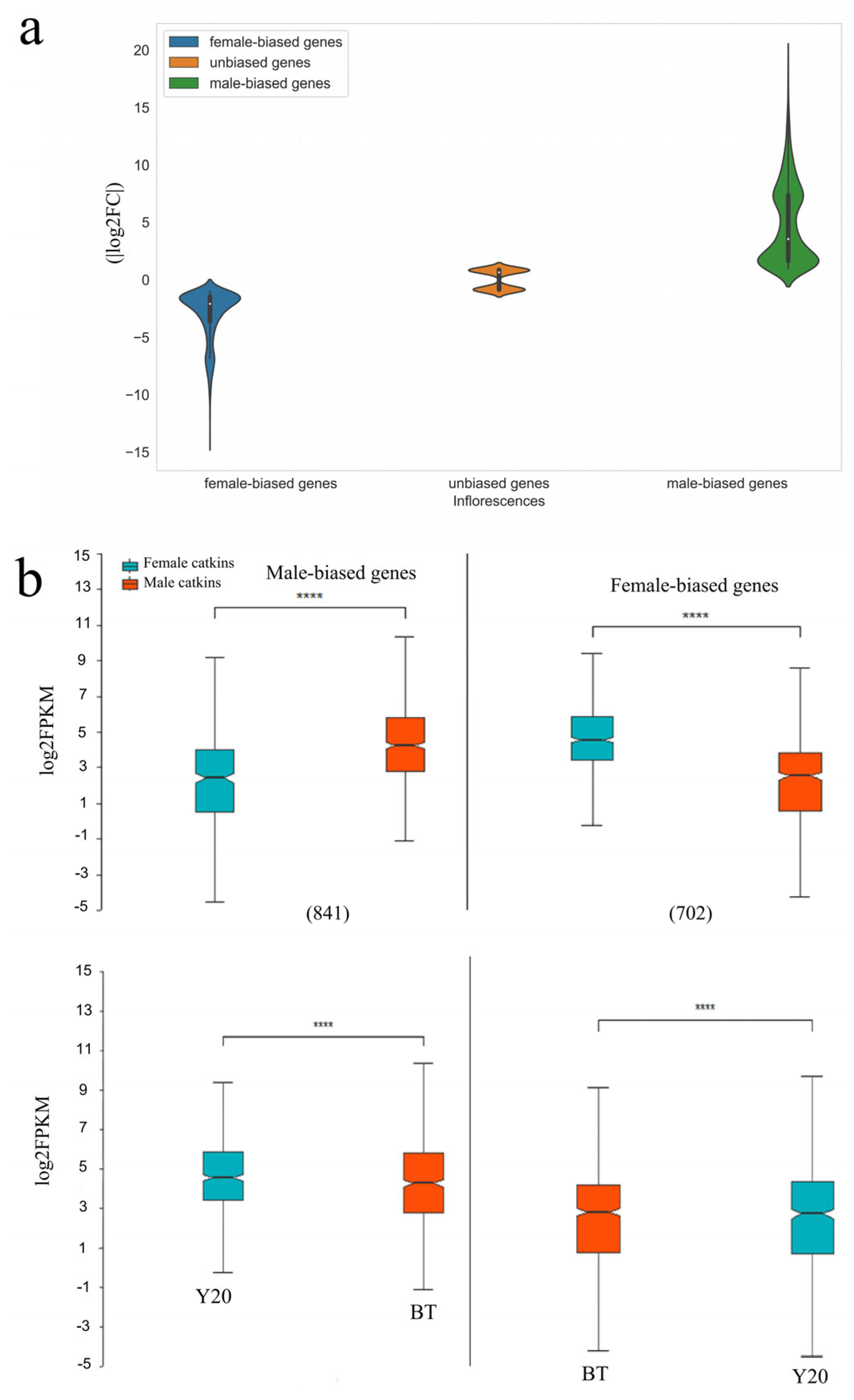 Biology 13 00622 g003