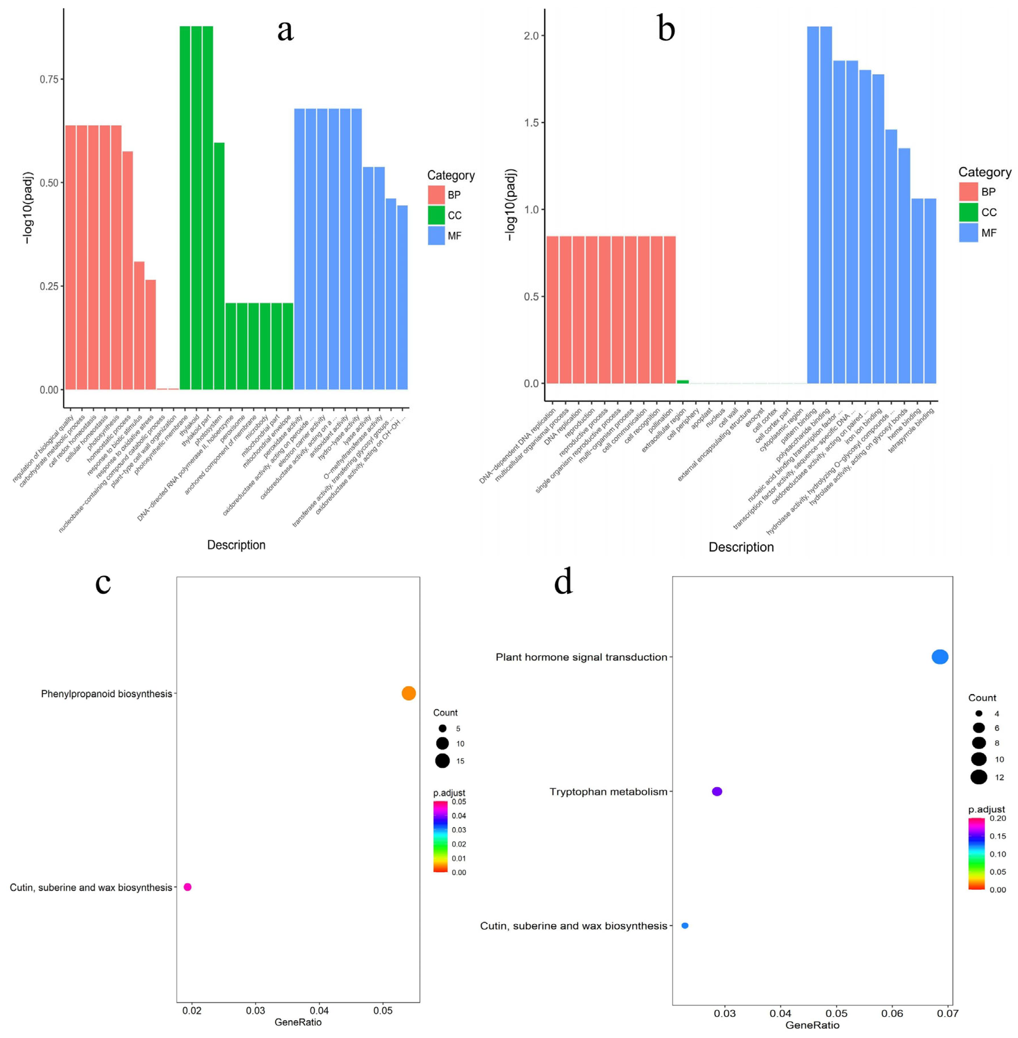 Biology 13 00622 g004