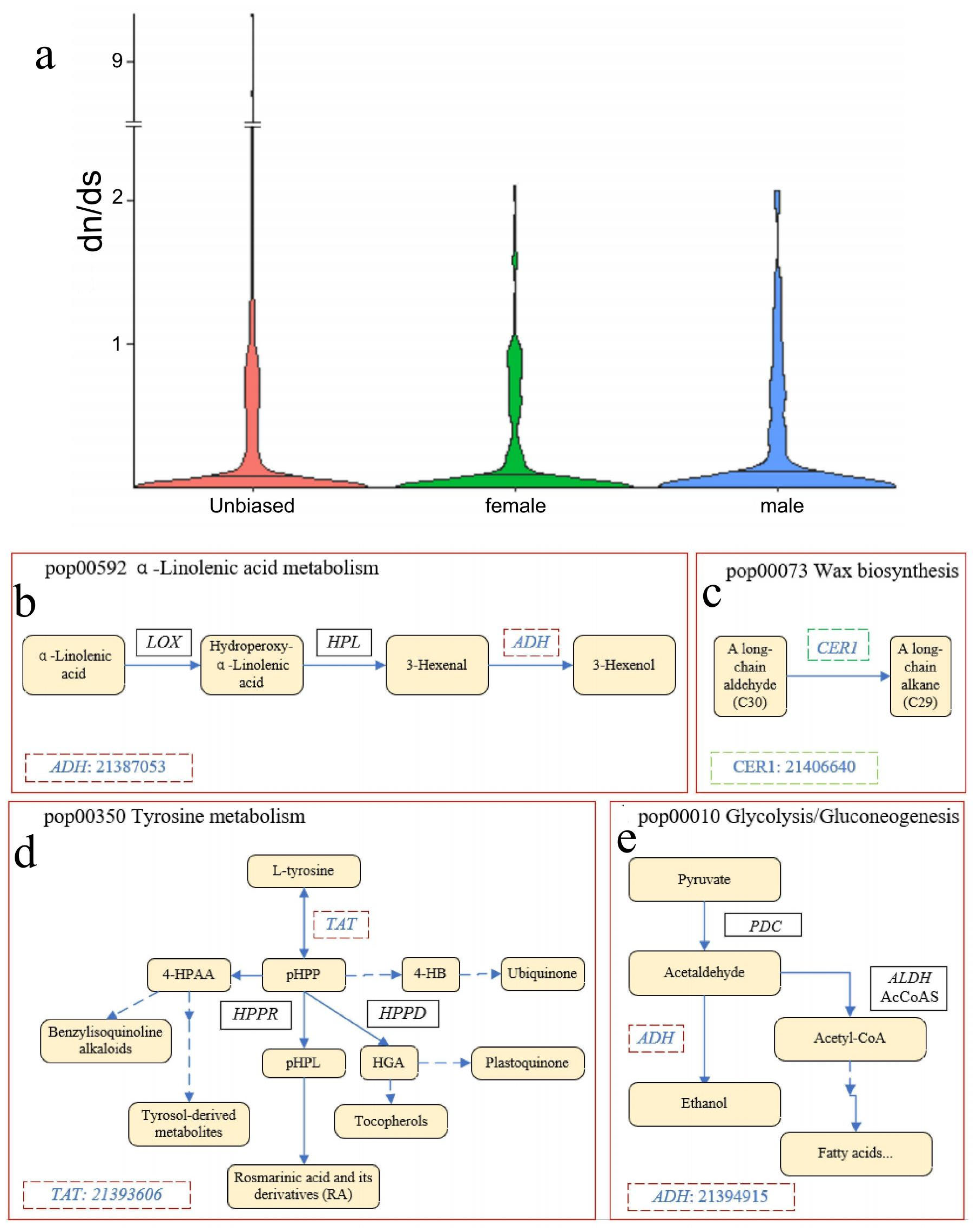 Biology 13 00622 g007