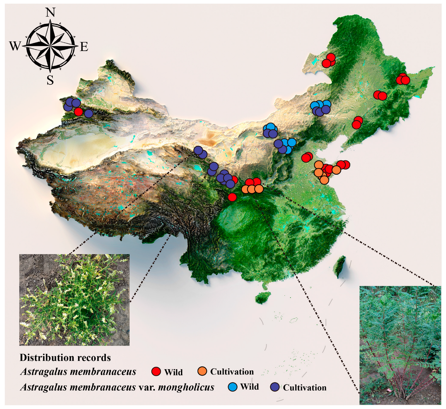 Biology 13 00625 g003