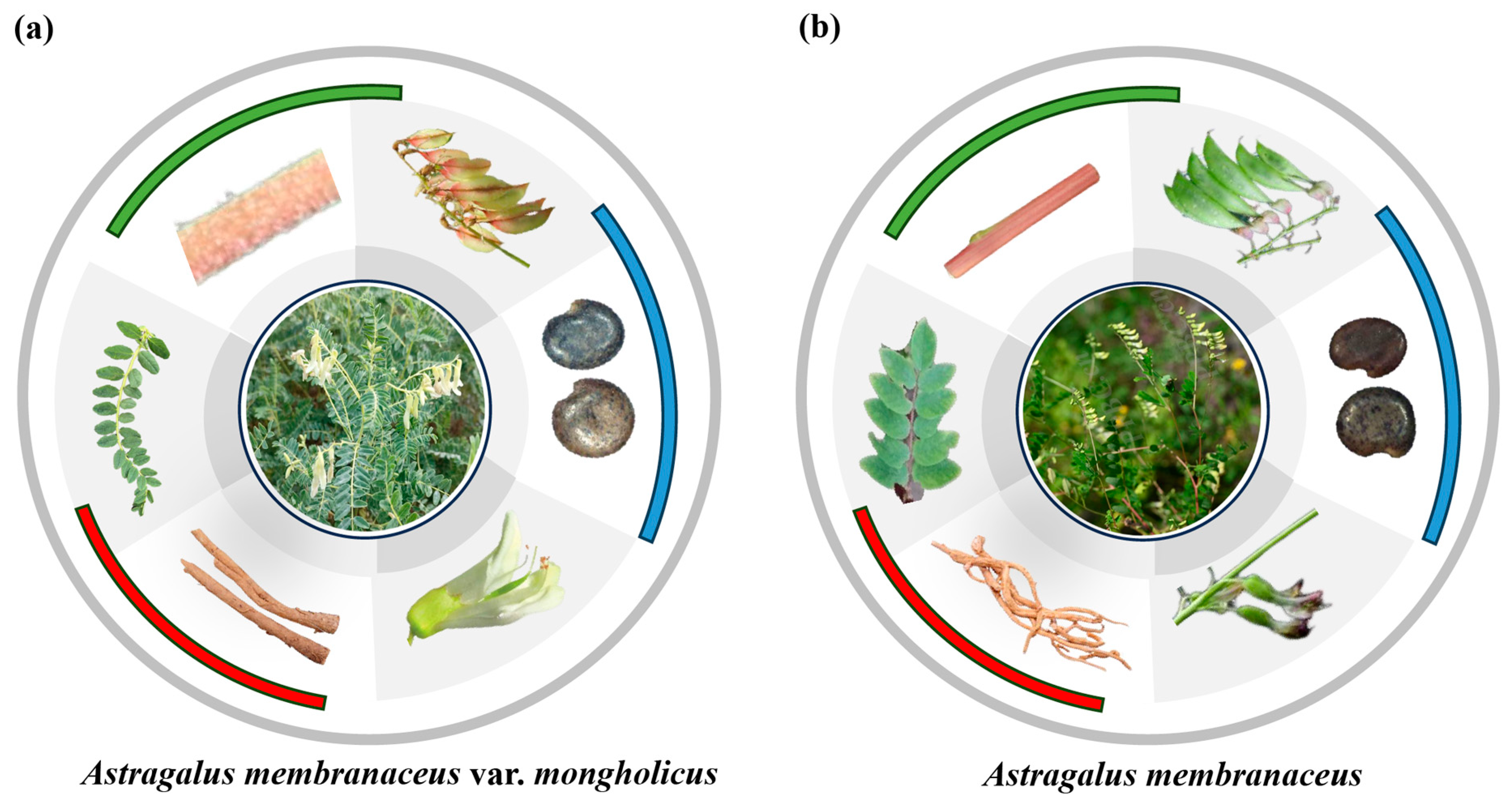 Biology 13 00625 g005