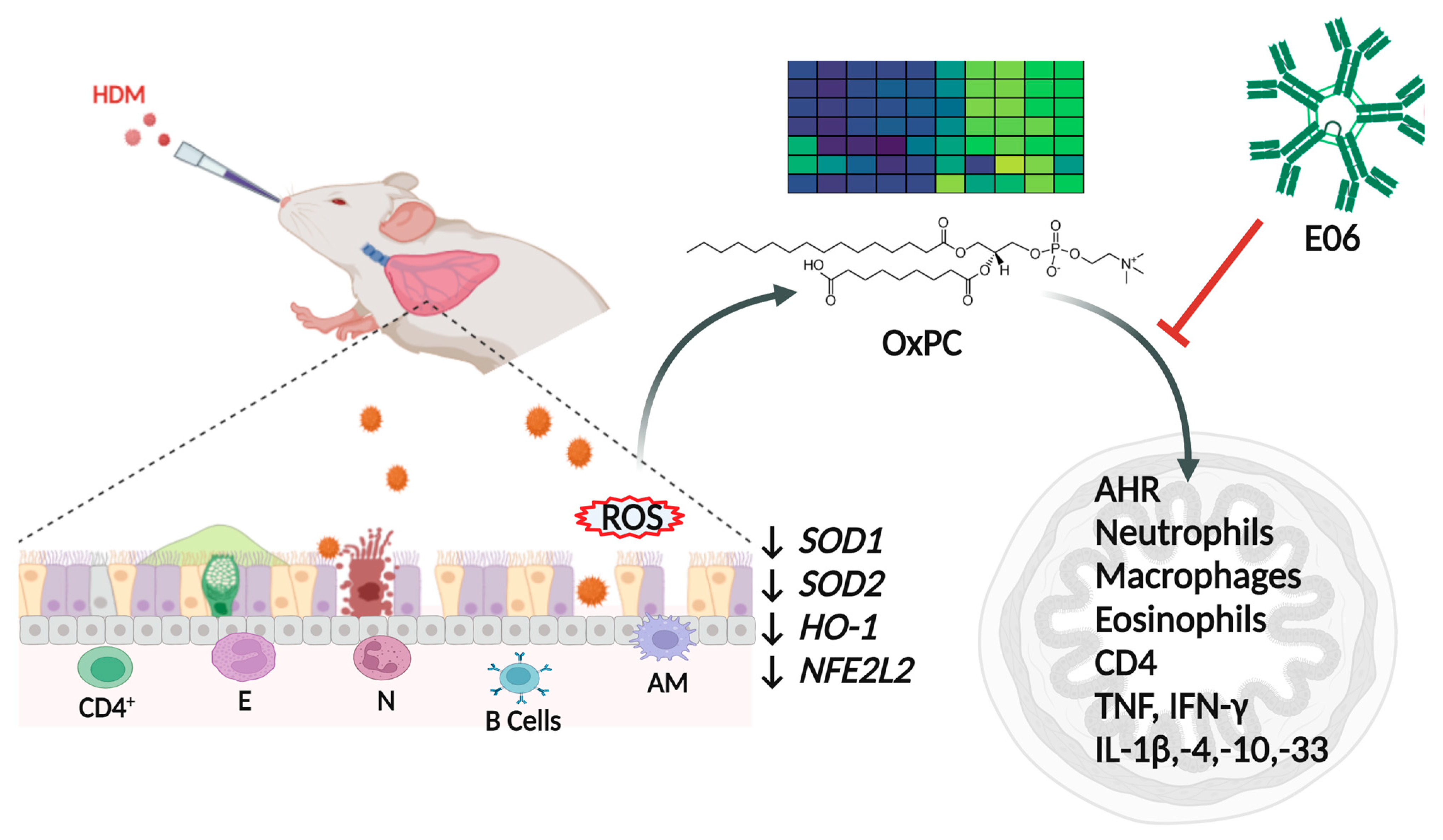 Biology 13 00627 g007 Biology 13 00627 g007
