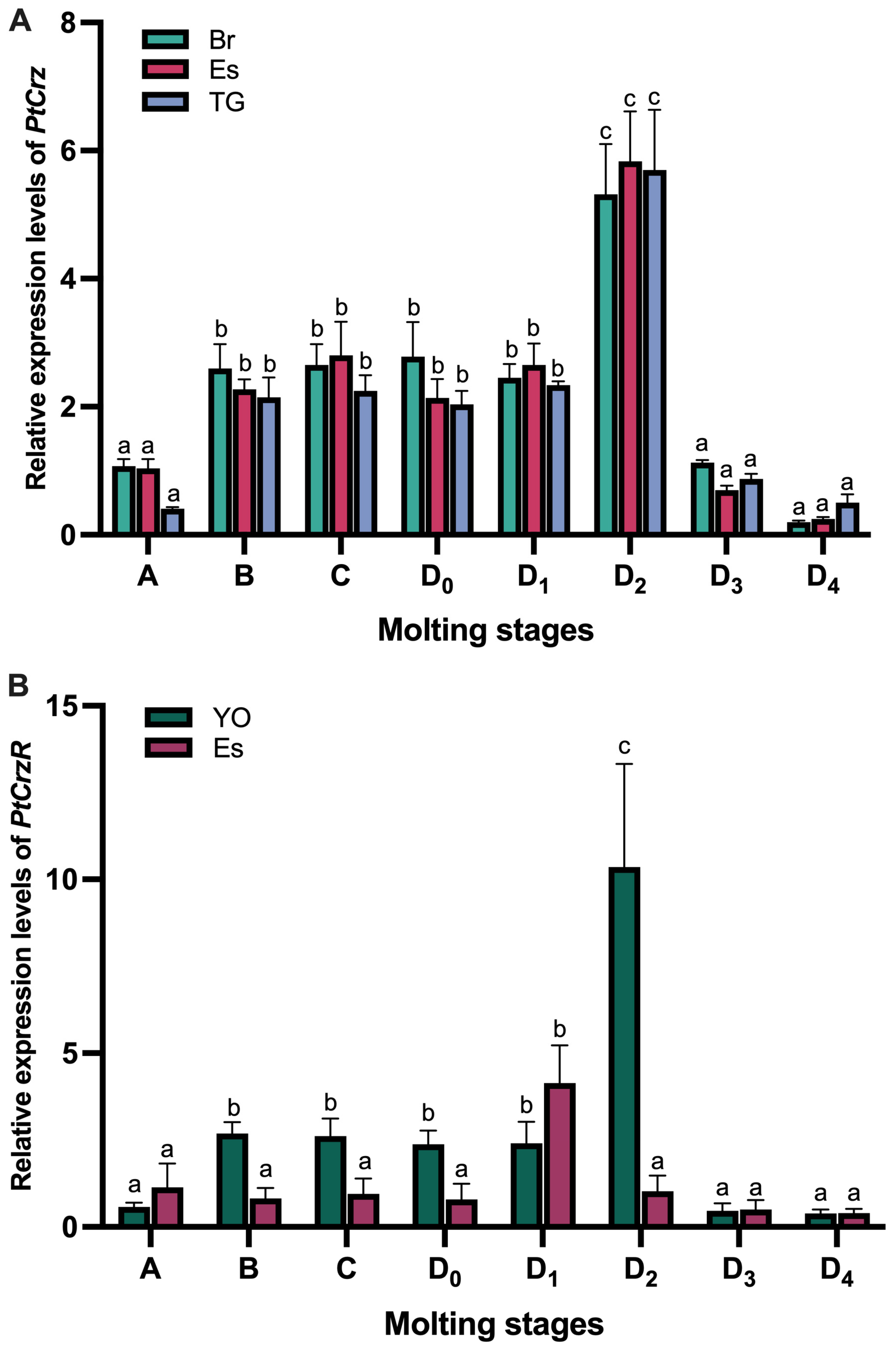 Biology 13 00630 g001