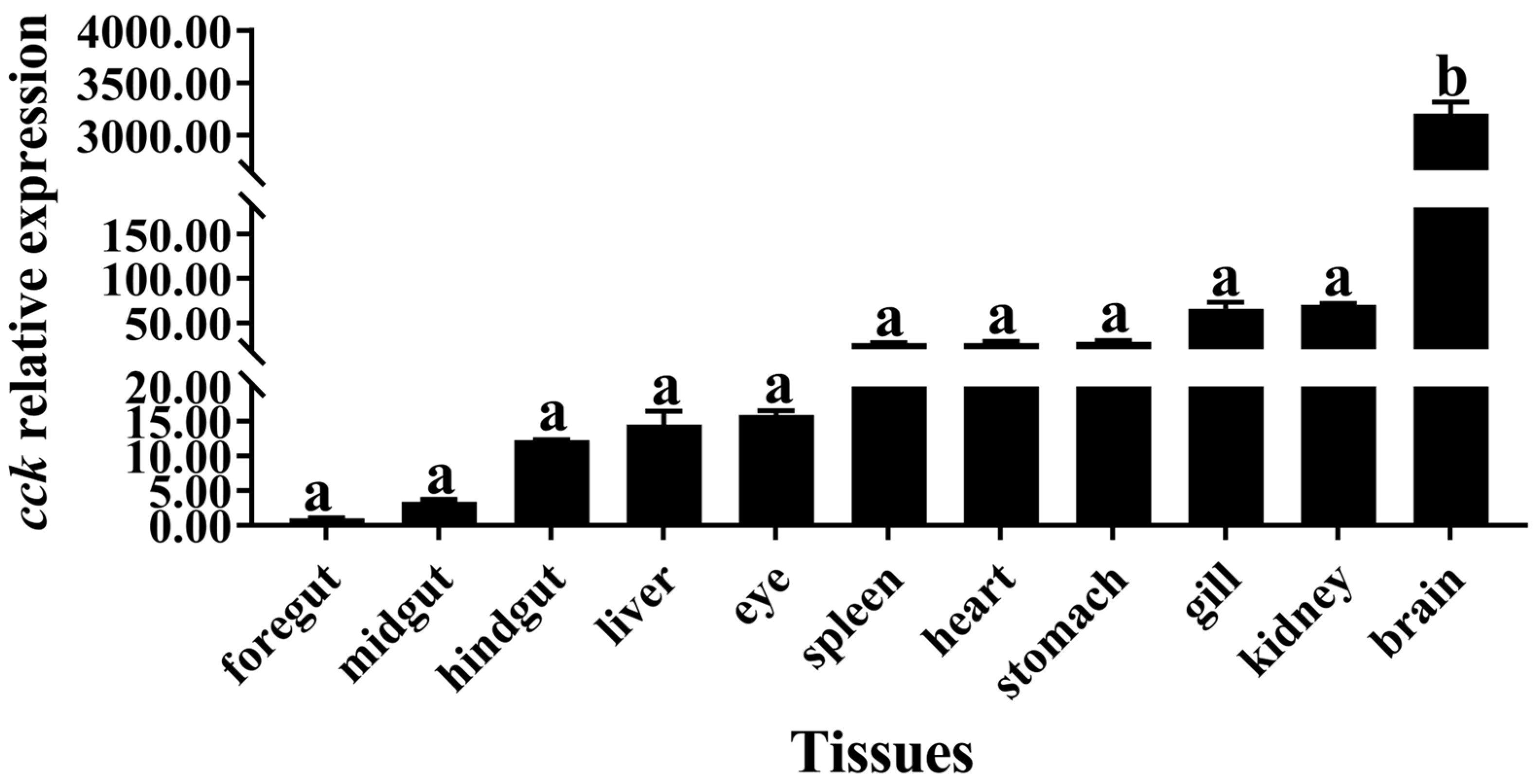Biology 13 00635 g001