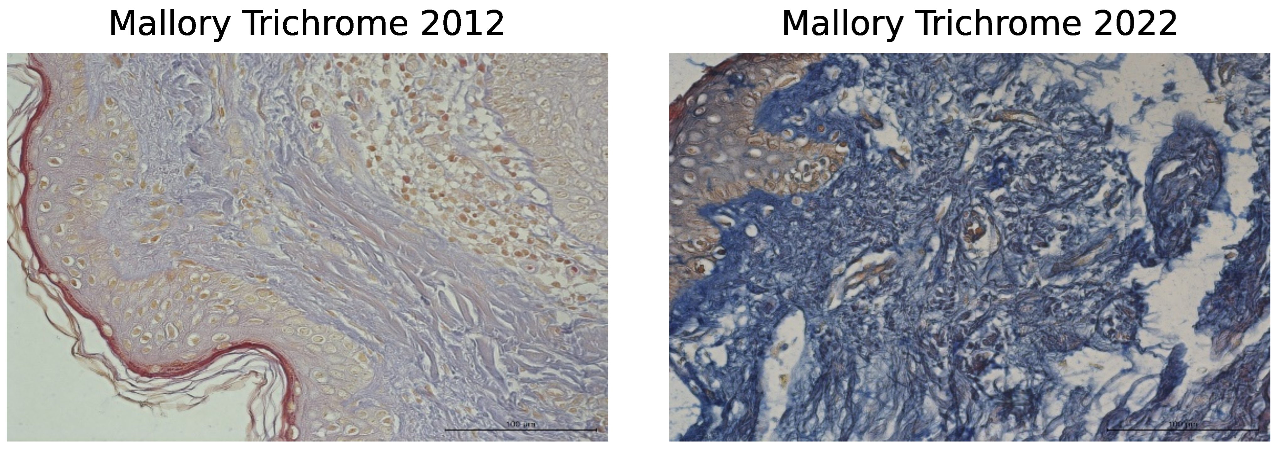 Biology 13 00636 g003a