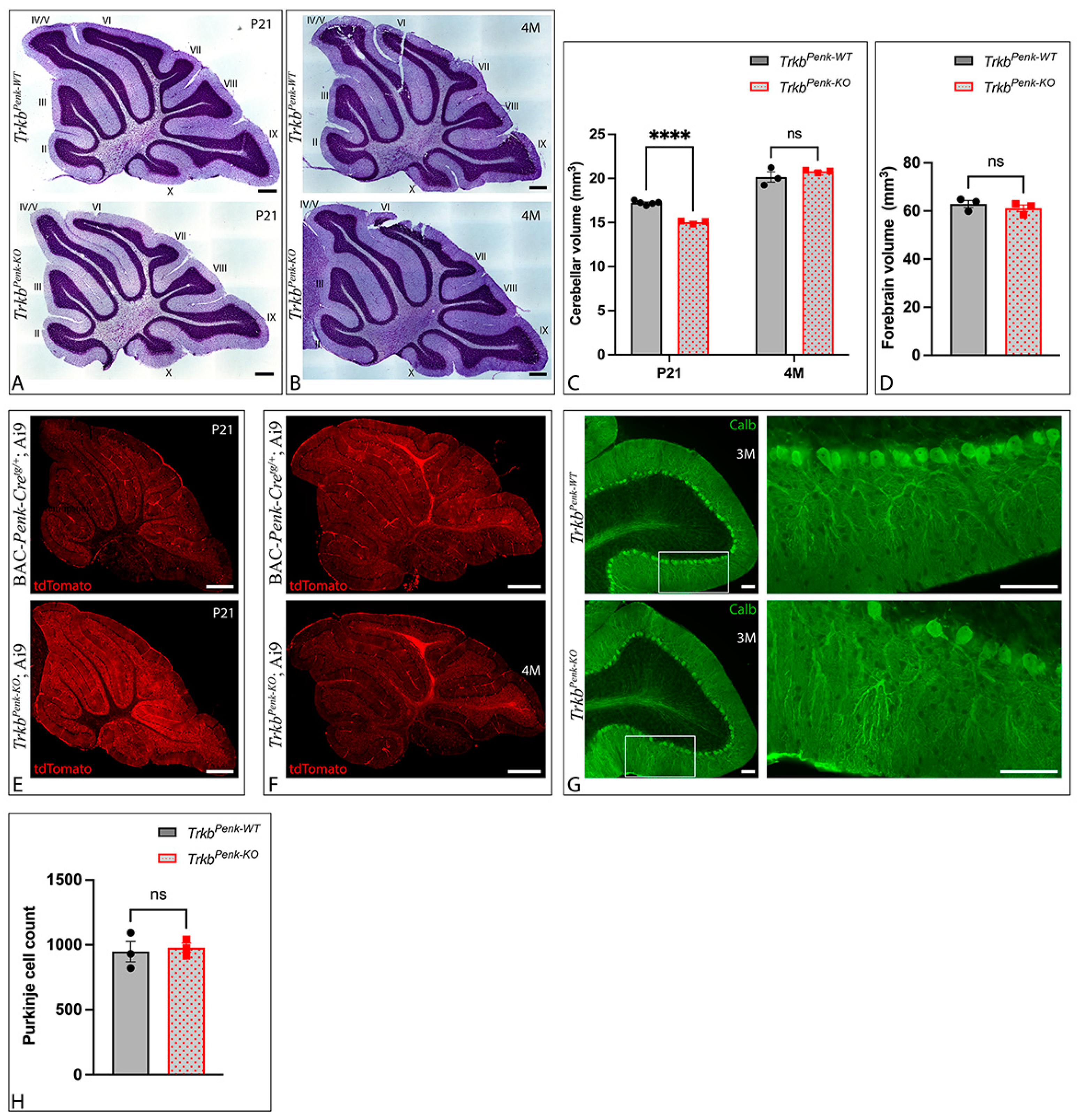 Biology 13 00637 g004
