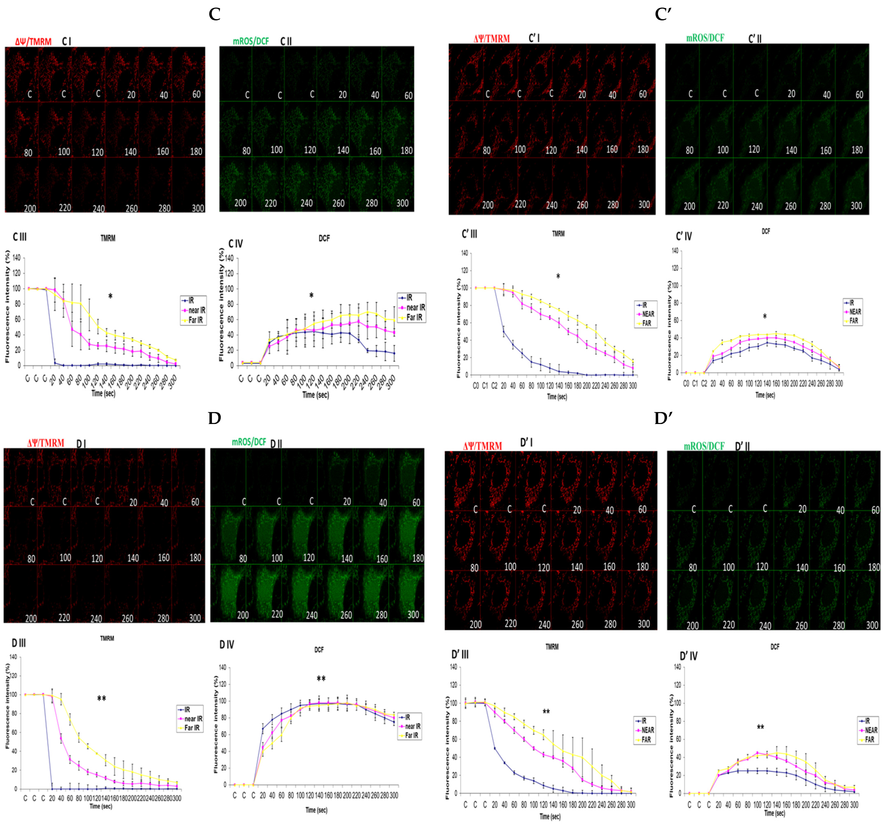 Biology 13 00639 g003b