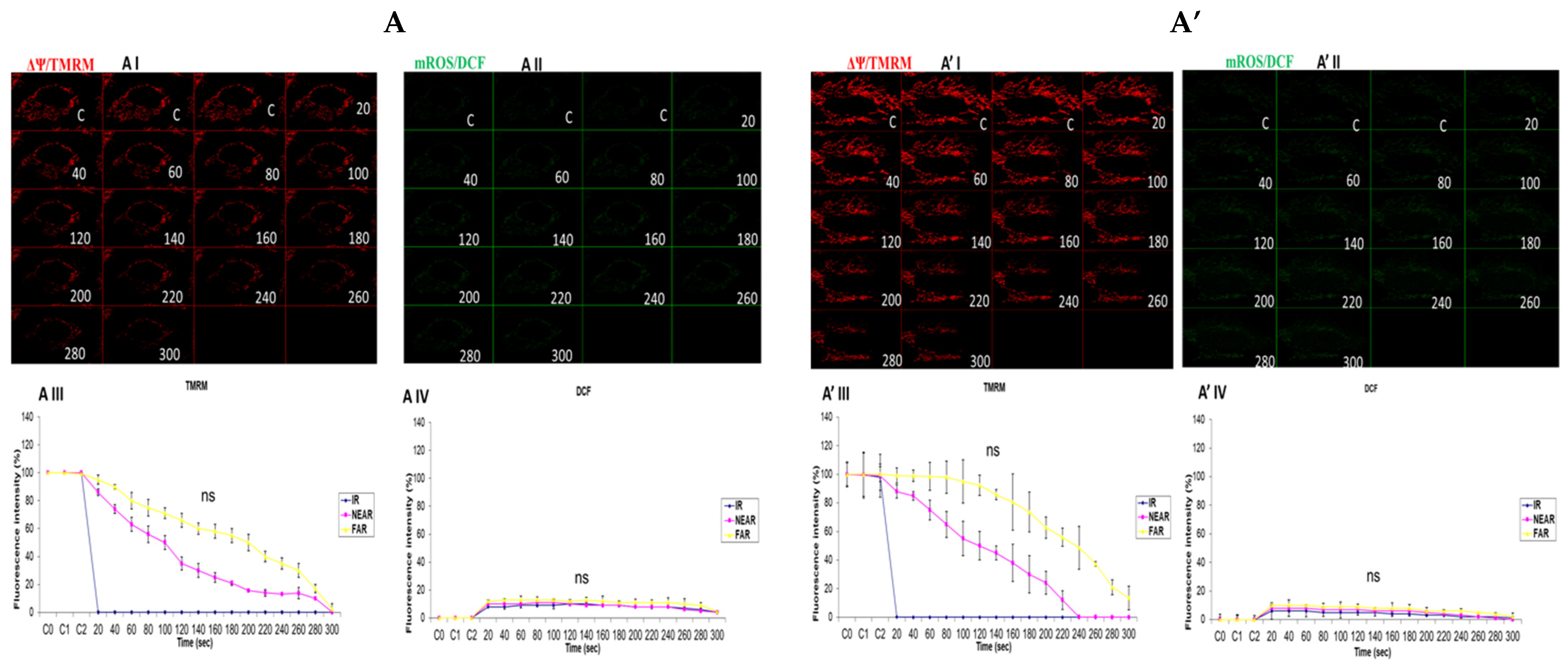 Biology 13 00639 g004a