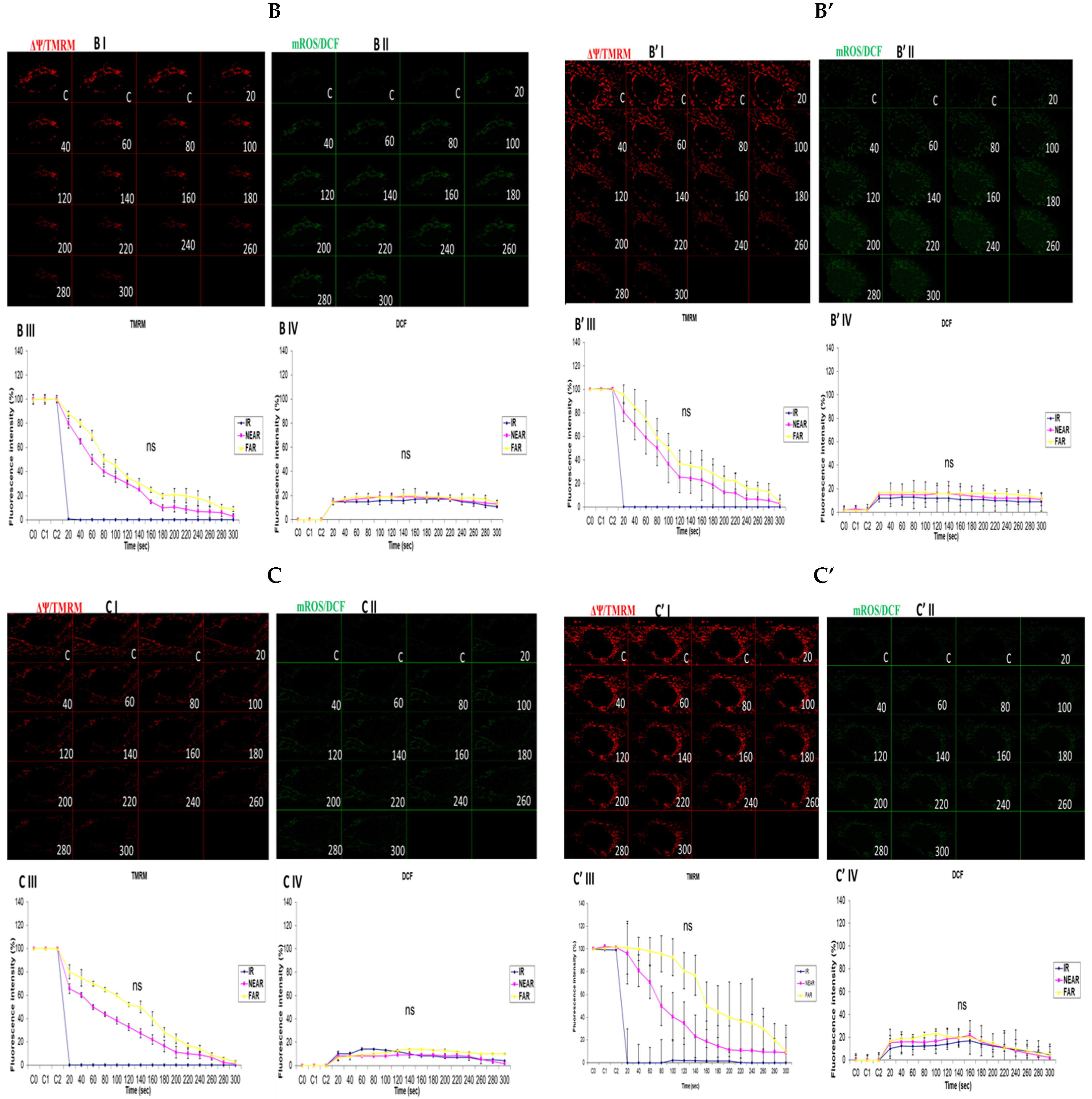 Biology 13 00639 g004b