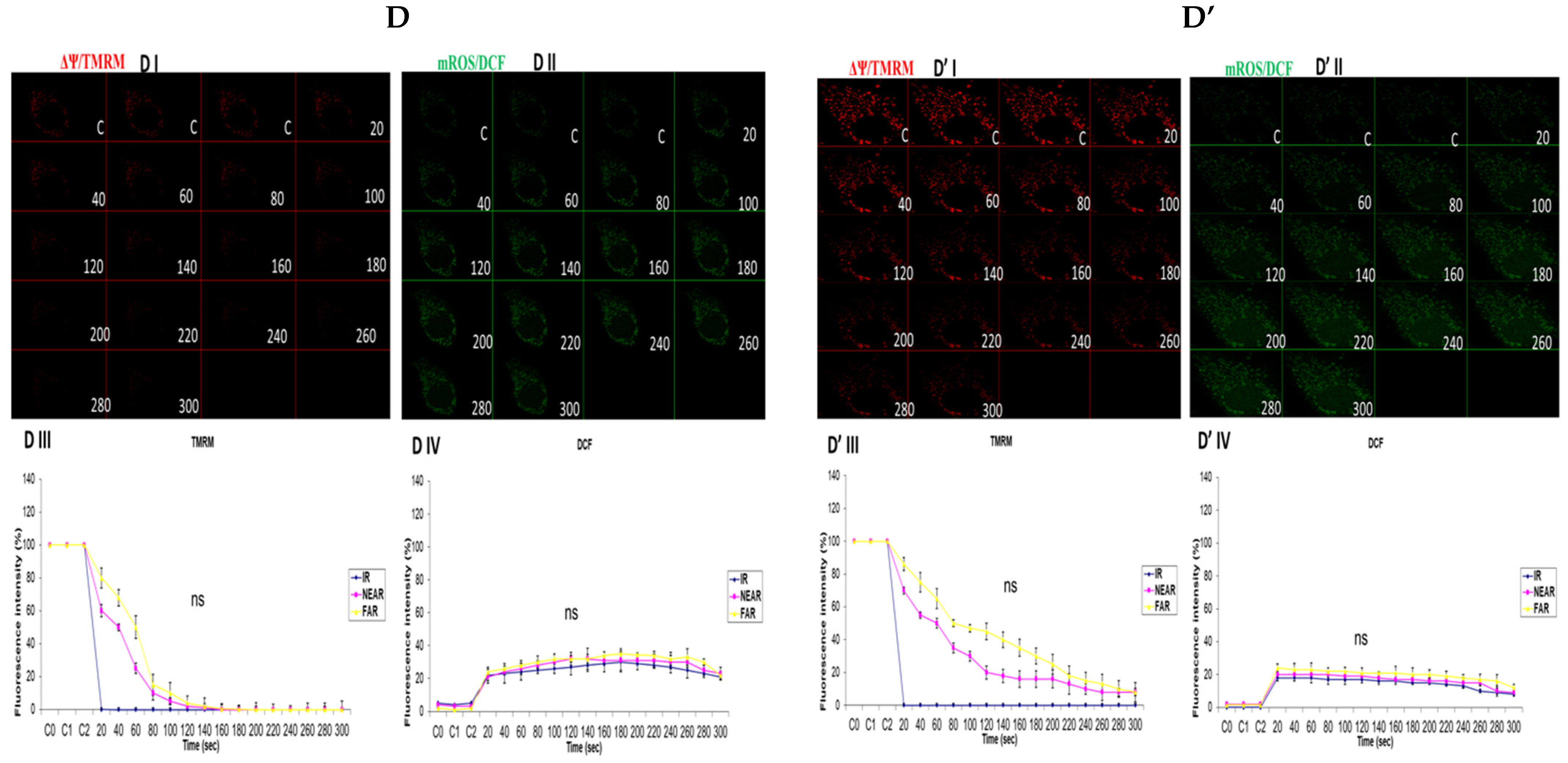 Biology 13 00639 g004c