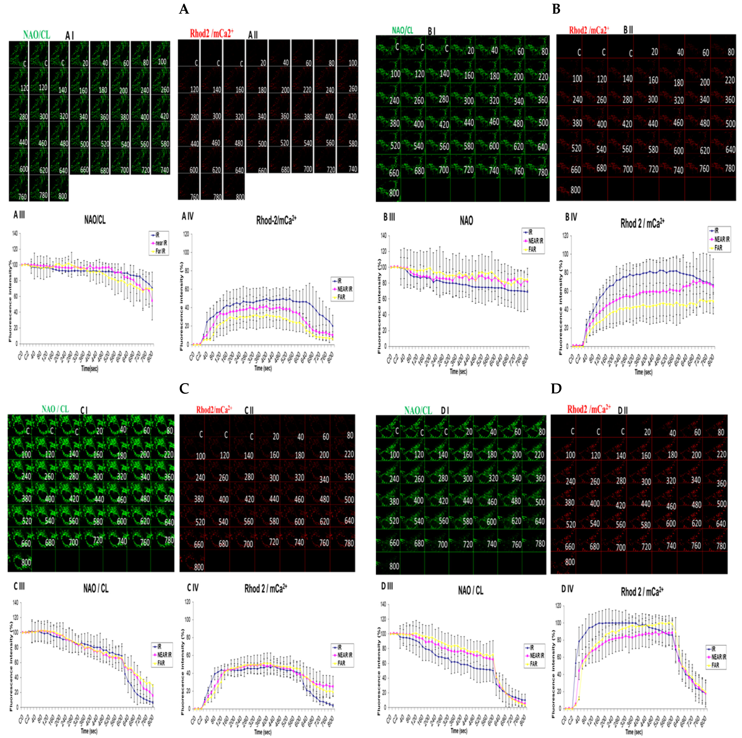 Biology 13 00639 g005