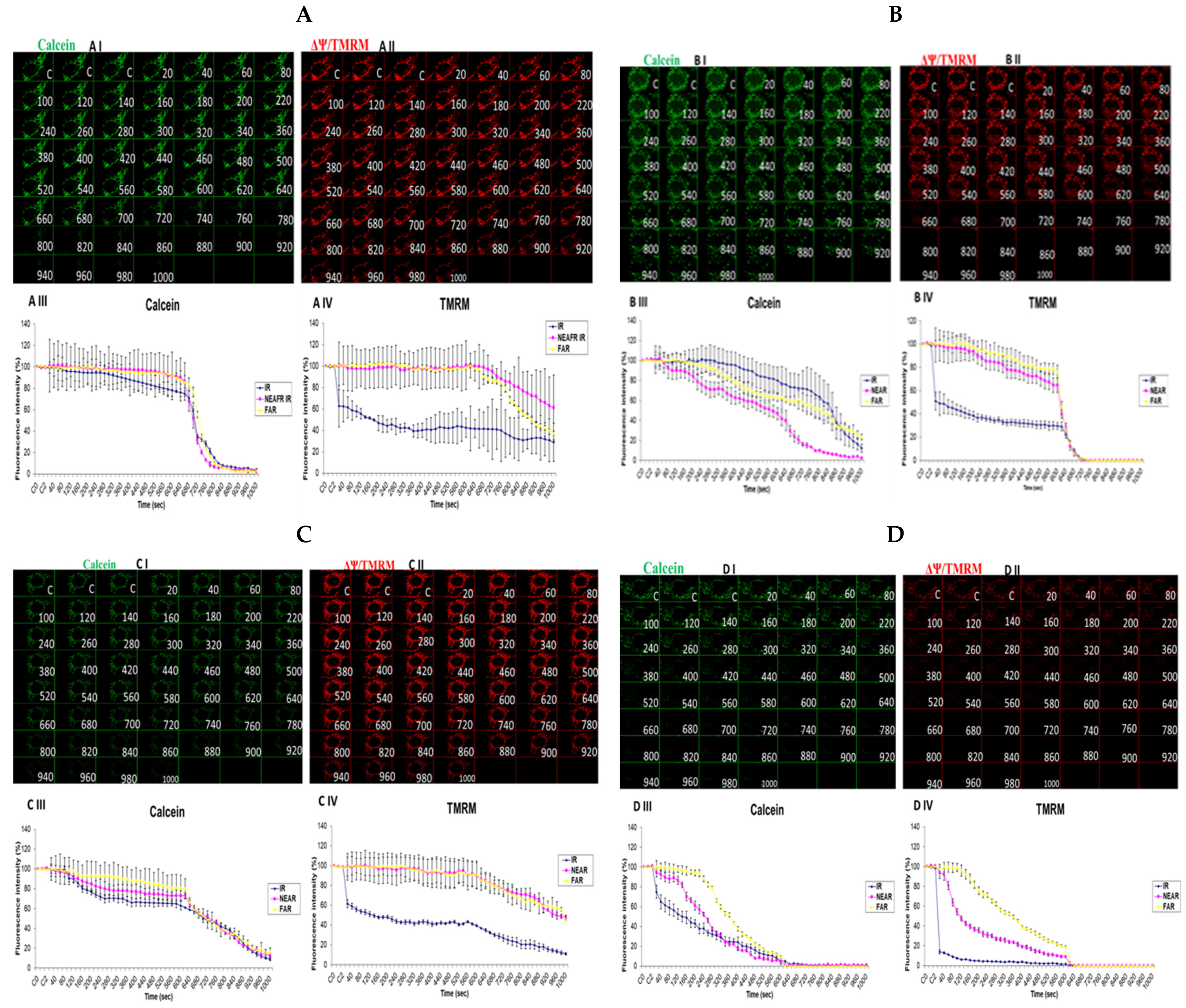 Biology 13 00639 g006