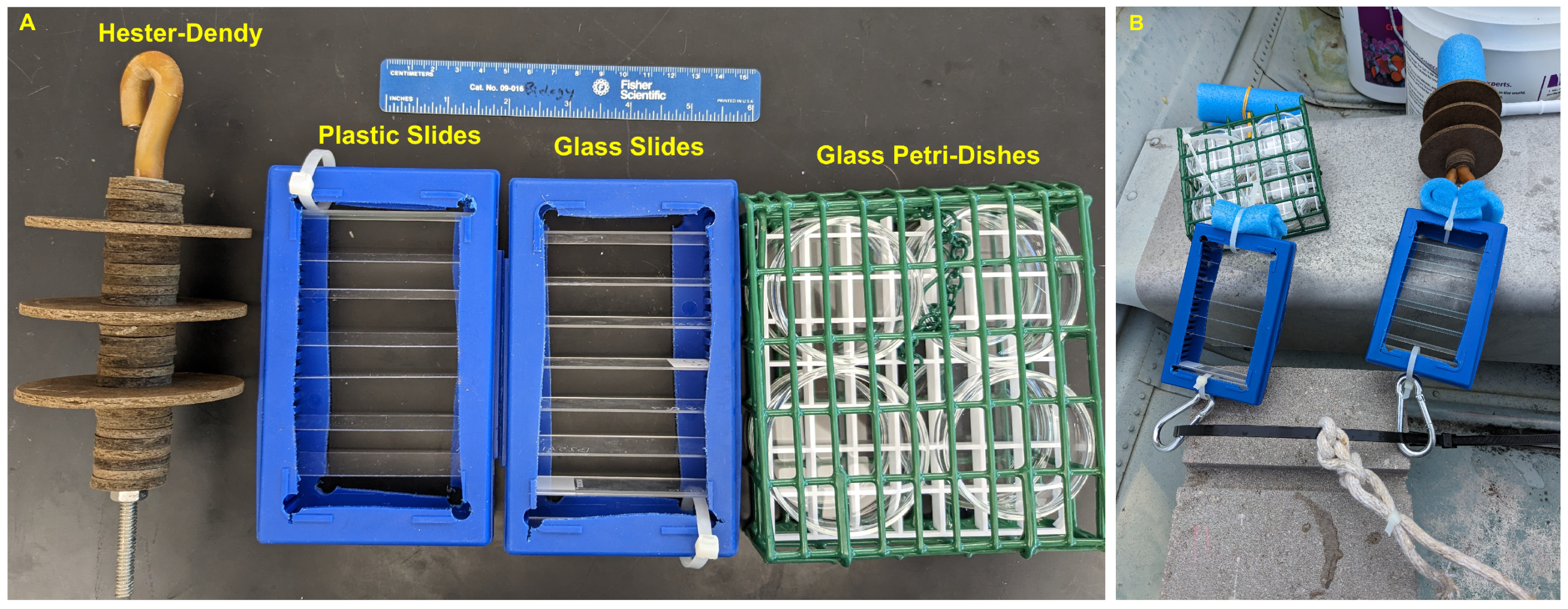 Biology 13 00645 g002