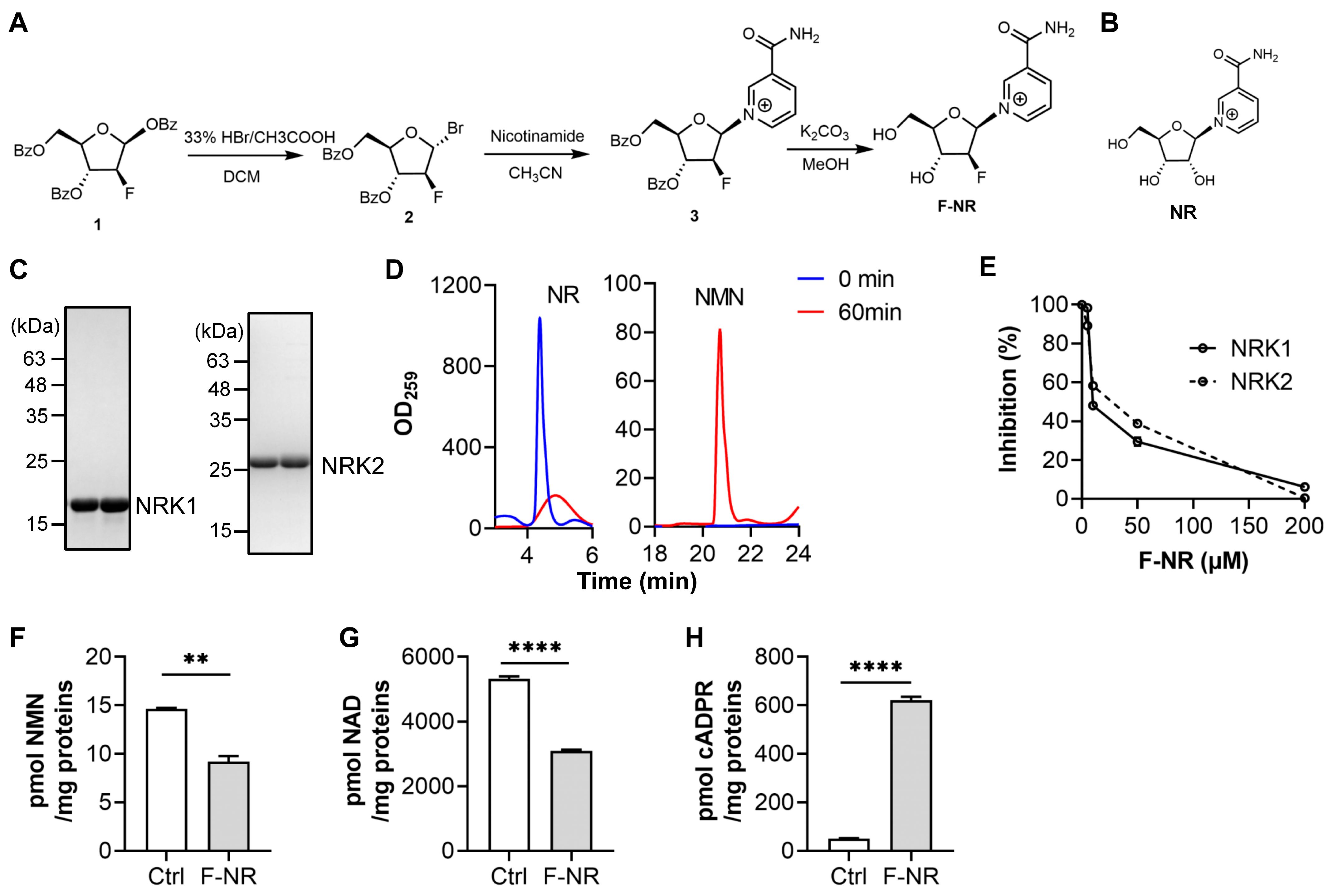 Biology 13 00649 g001