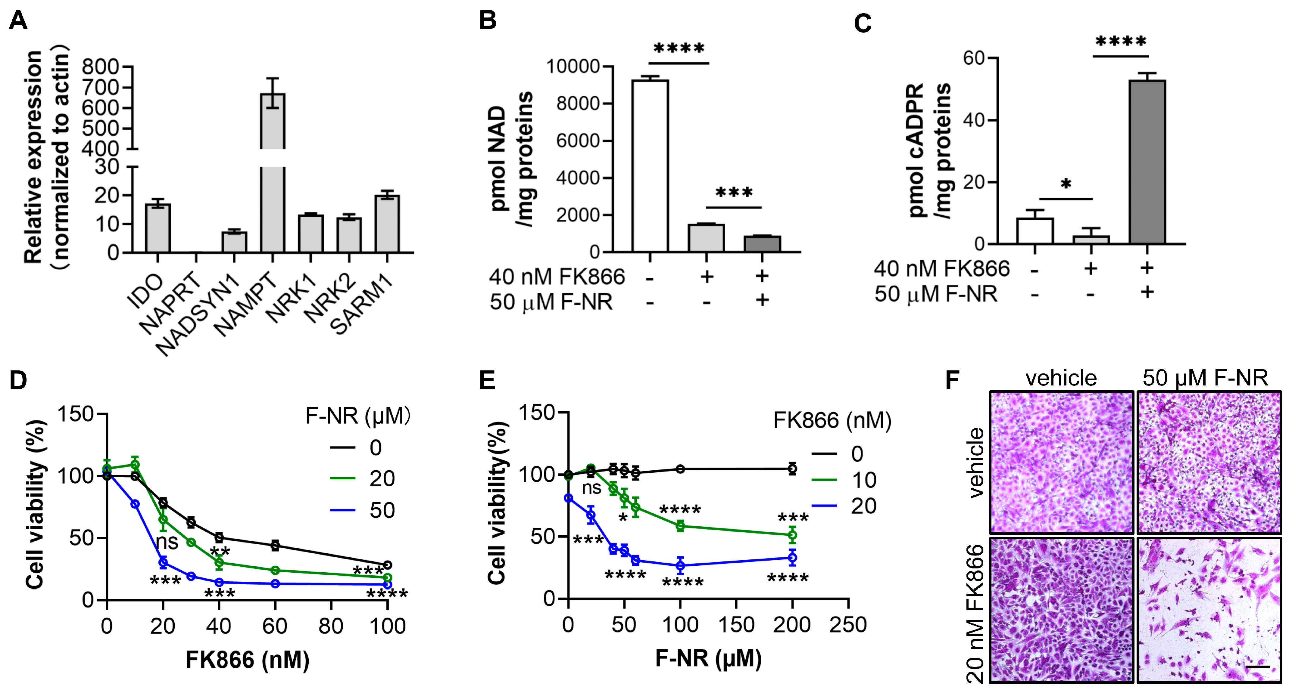 Biology 13 00649 g003