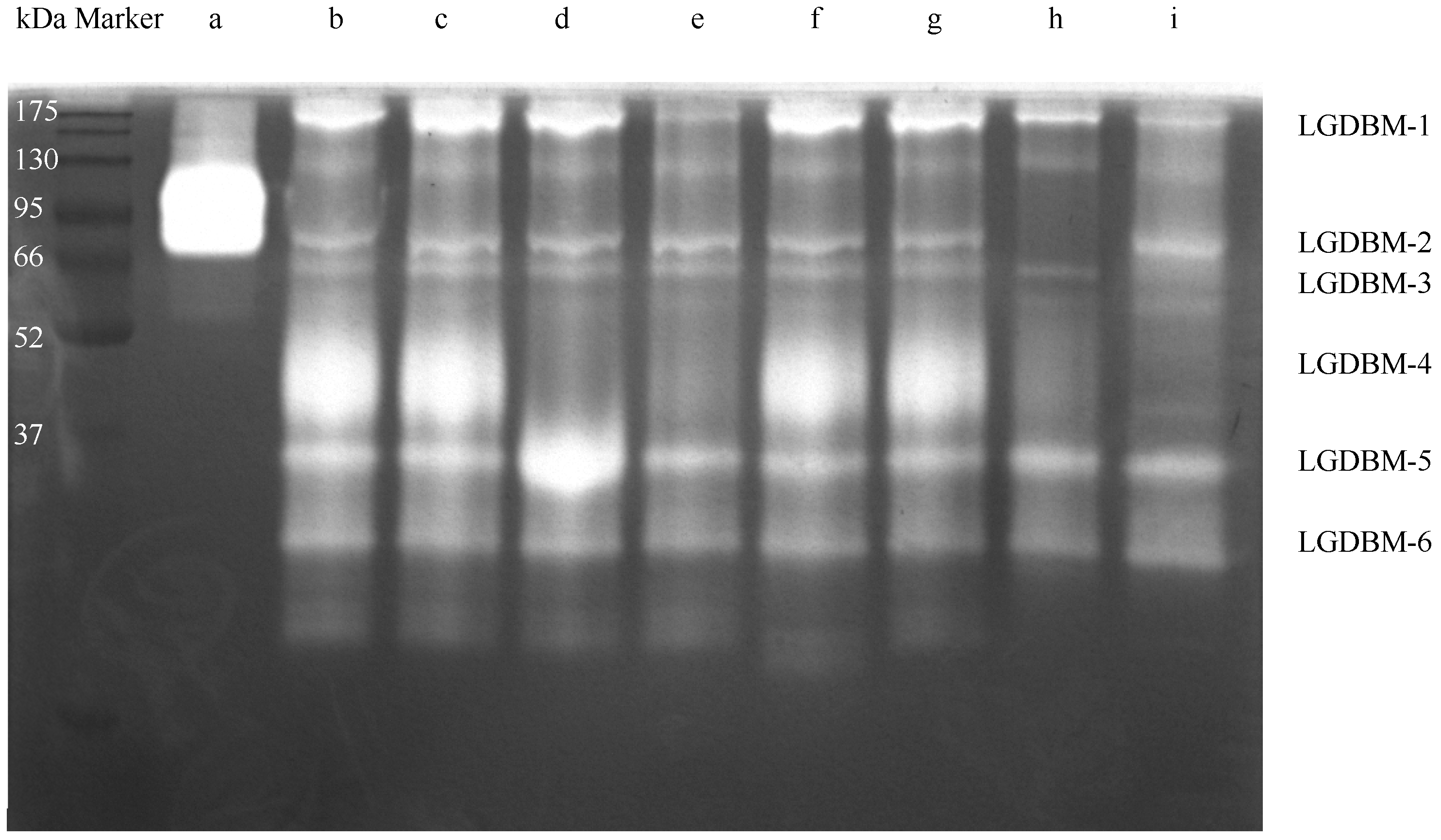 Biology 13 00650 g001