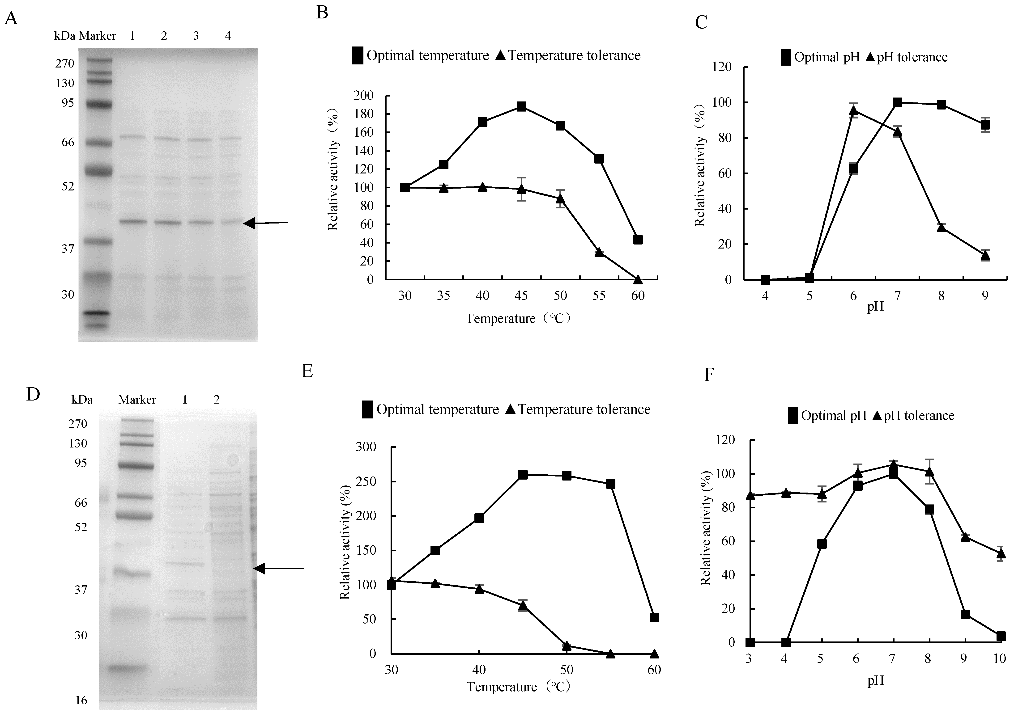 Biology 13 00650 g002