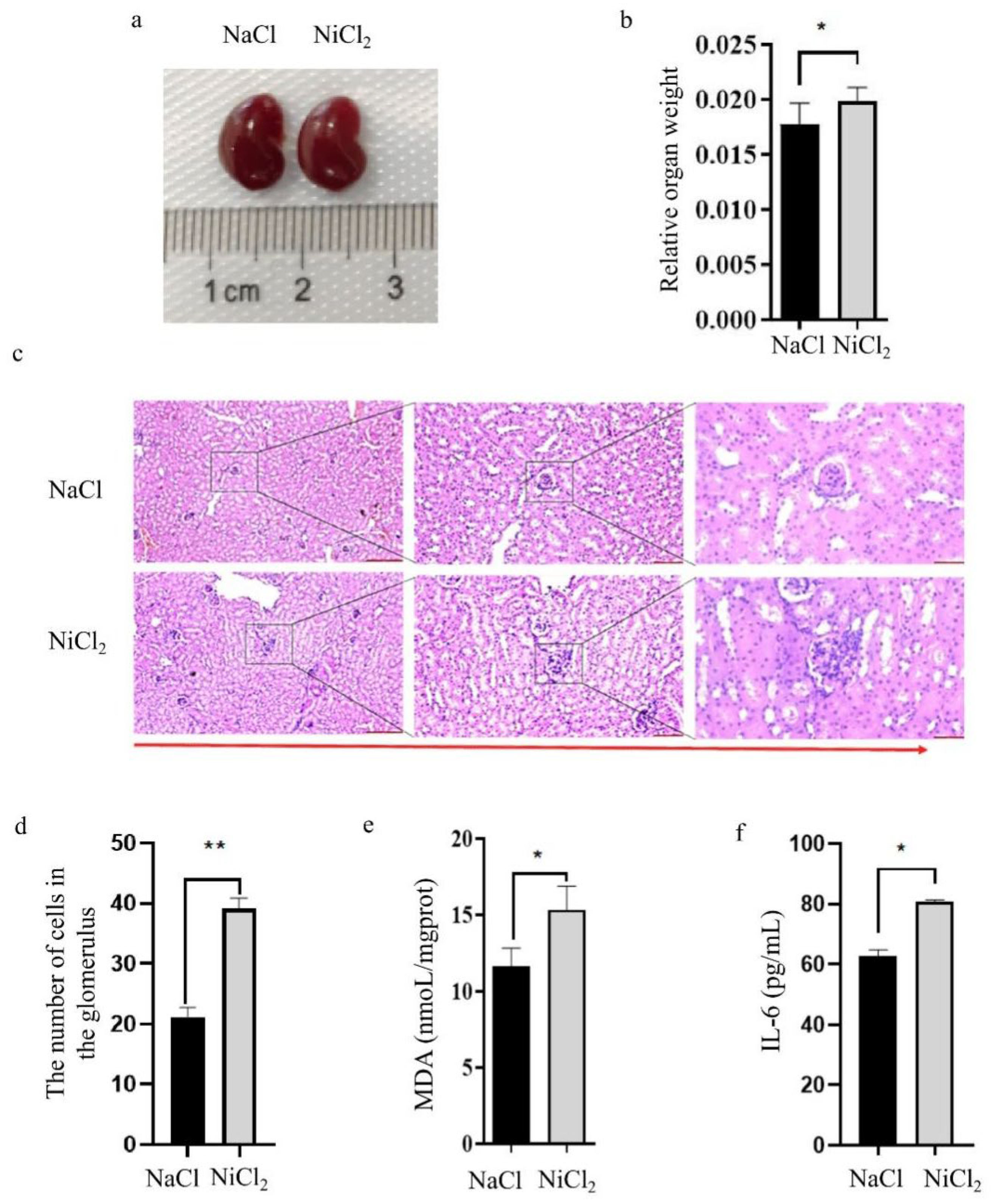 Biology 13 00655 g002 Biology 13 00655 g002