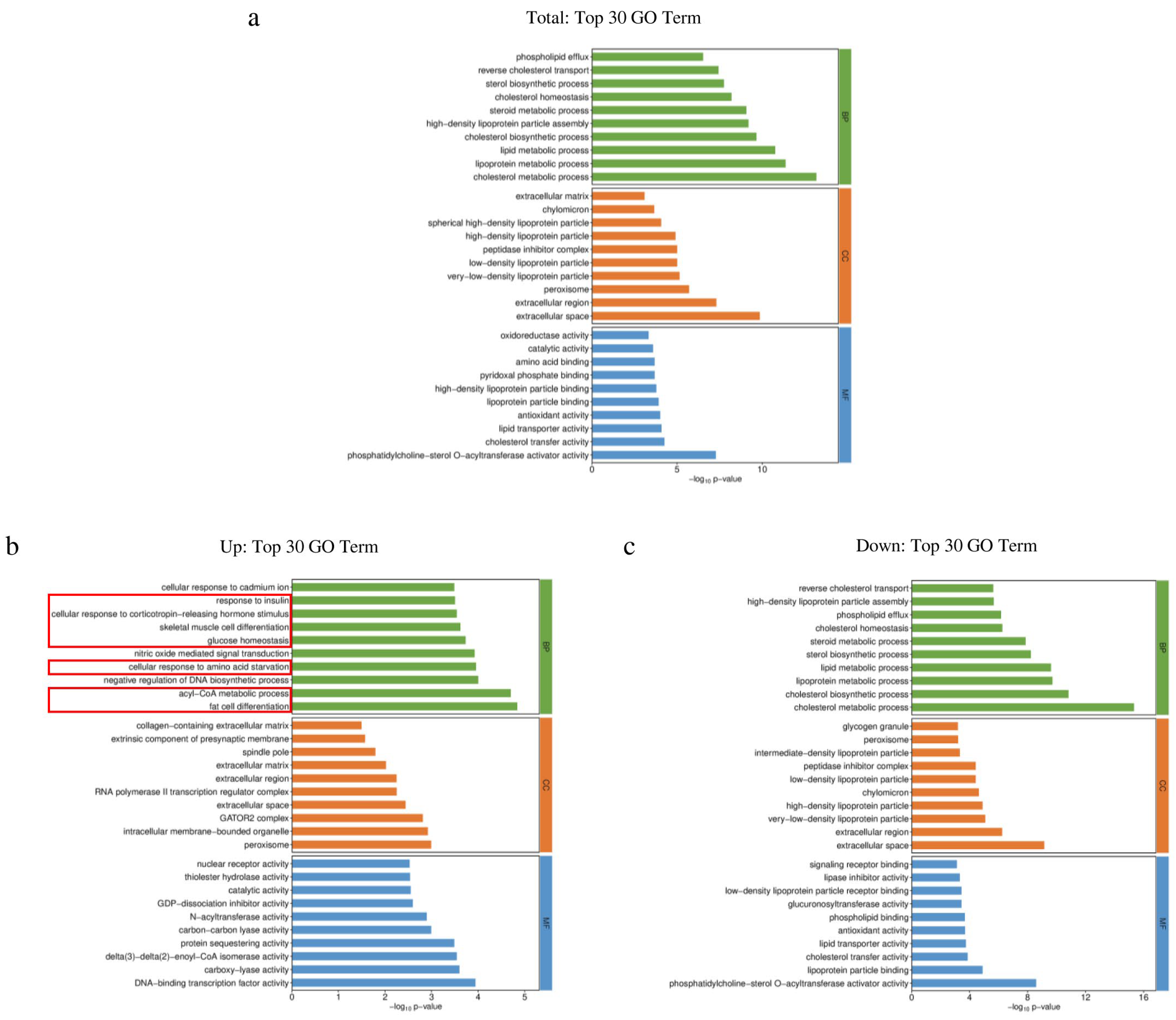 Biology 13 00655 g004 Biology 13 00655 g004