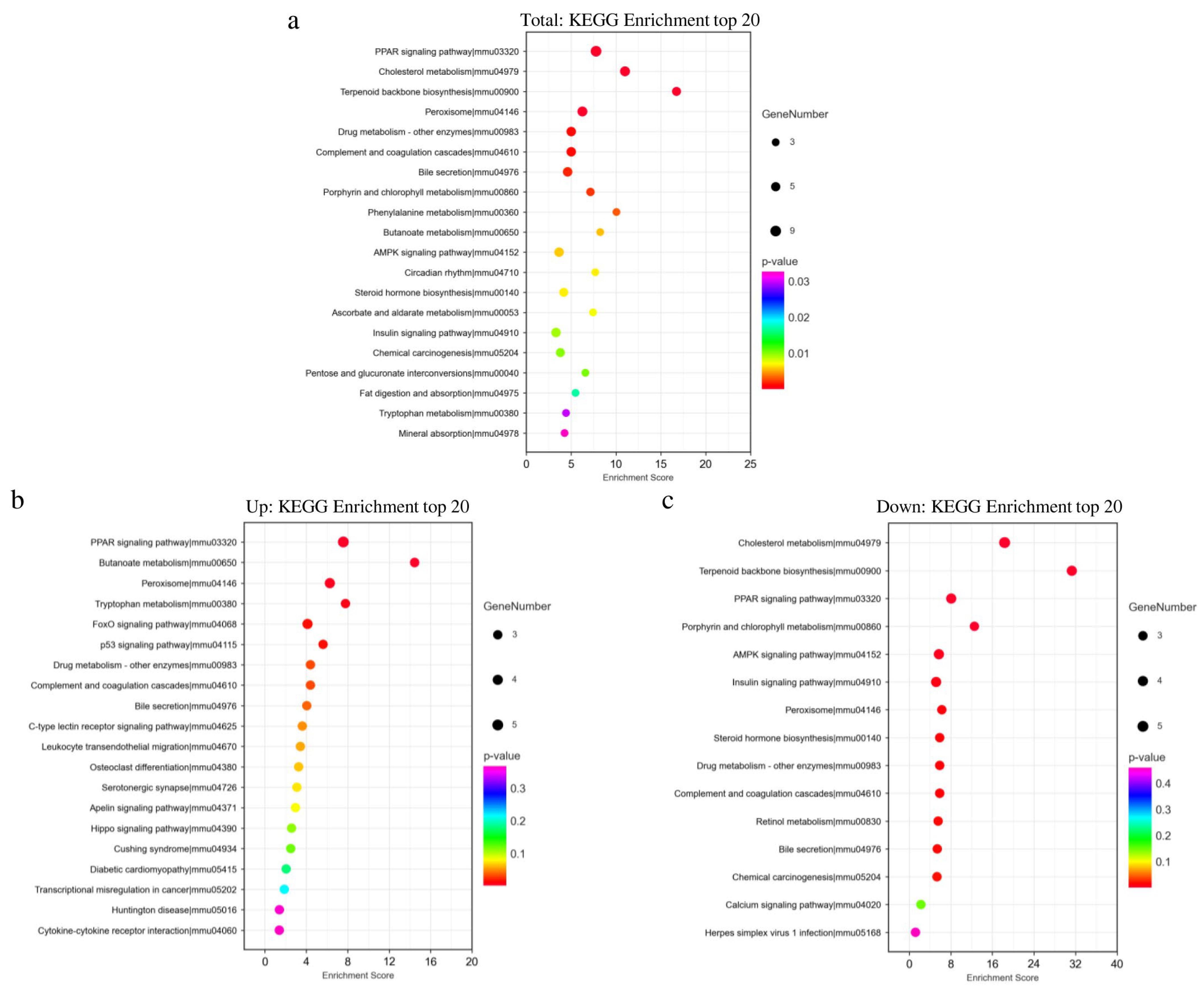 Biology 13 00655 g005 Biology 13 00655 g005
