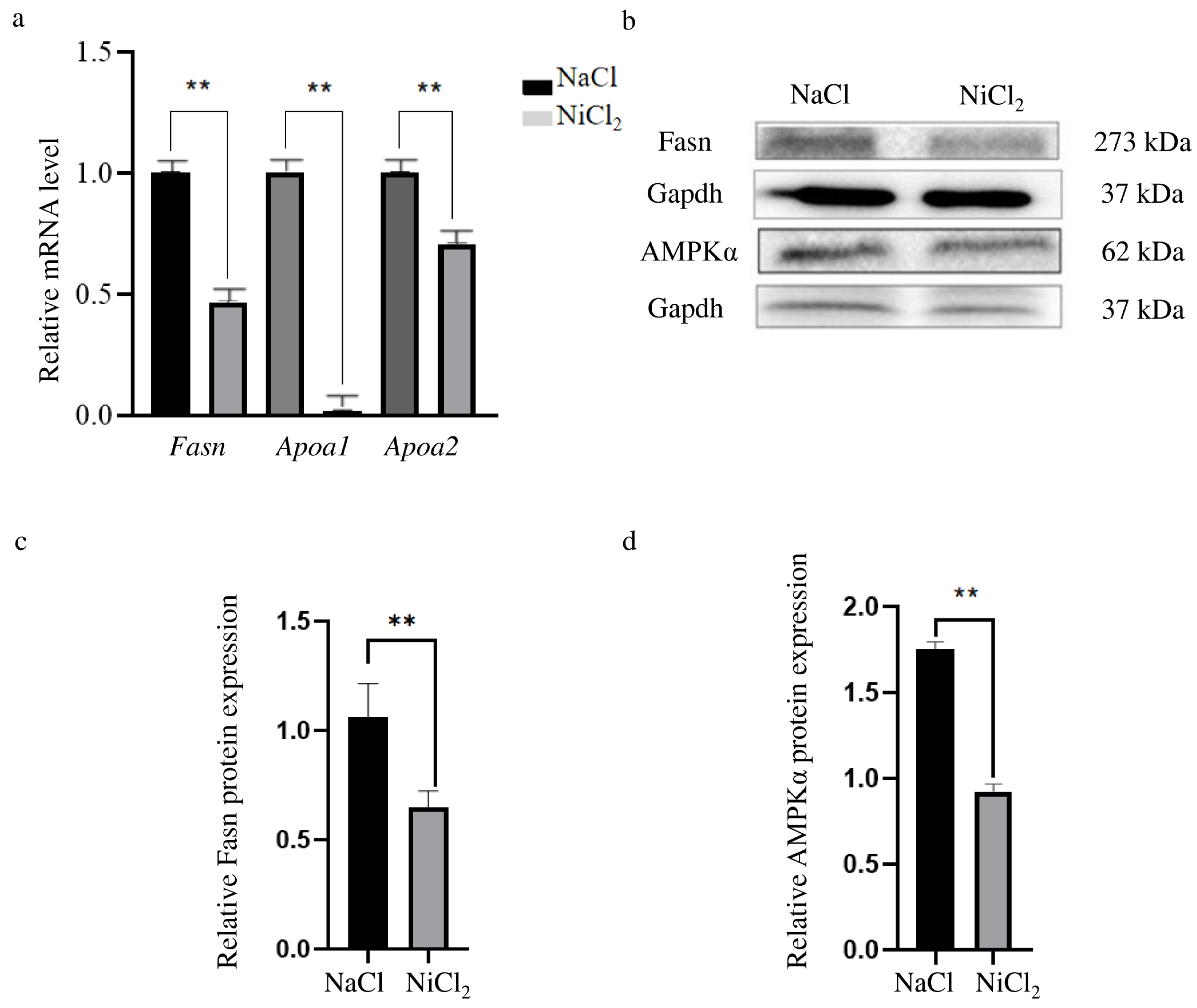 Biology 13 00655 g007 Biology 13 00655 g007