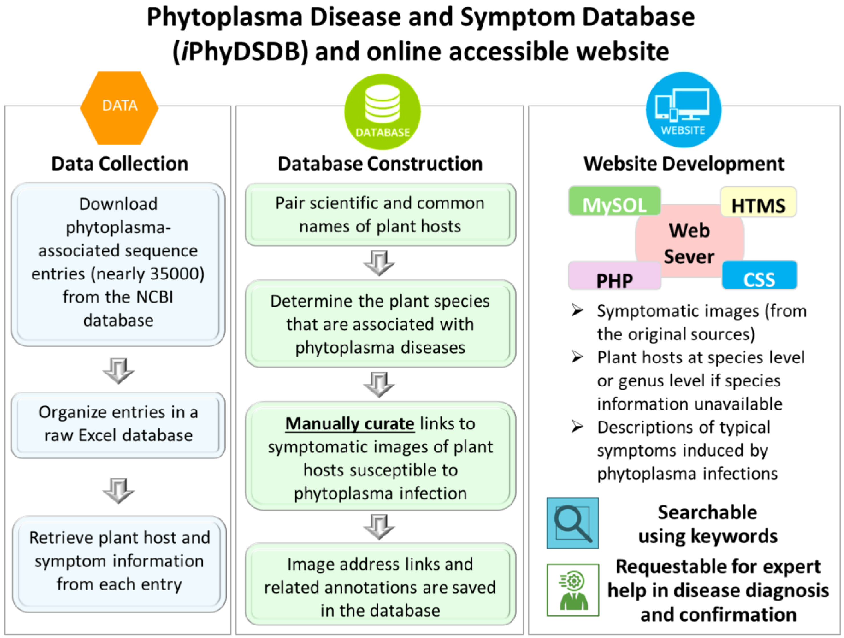 Biology 13 00657 g001