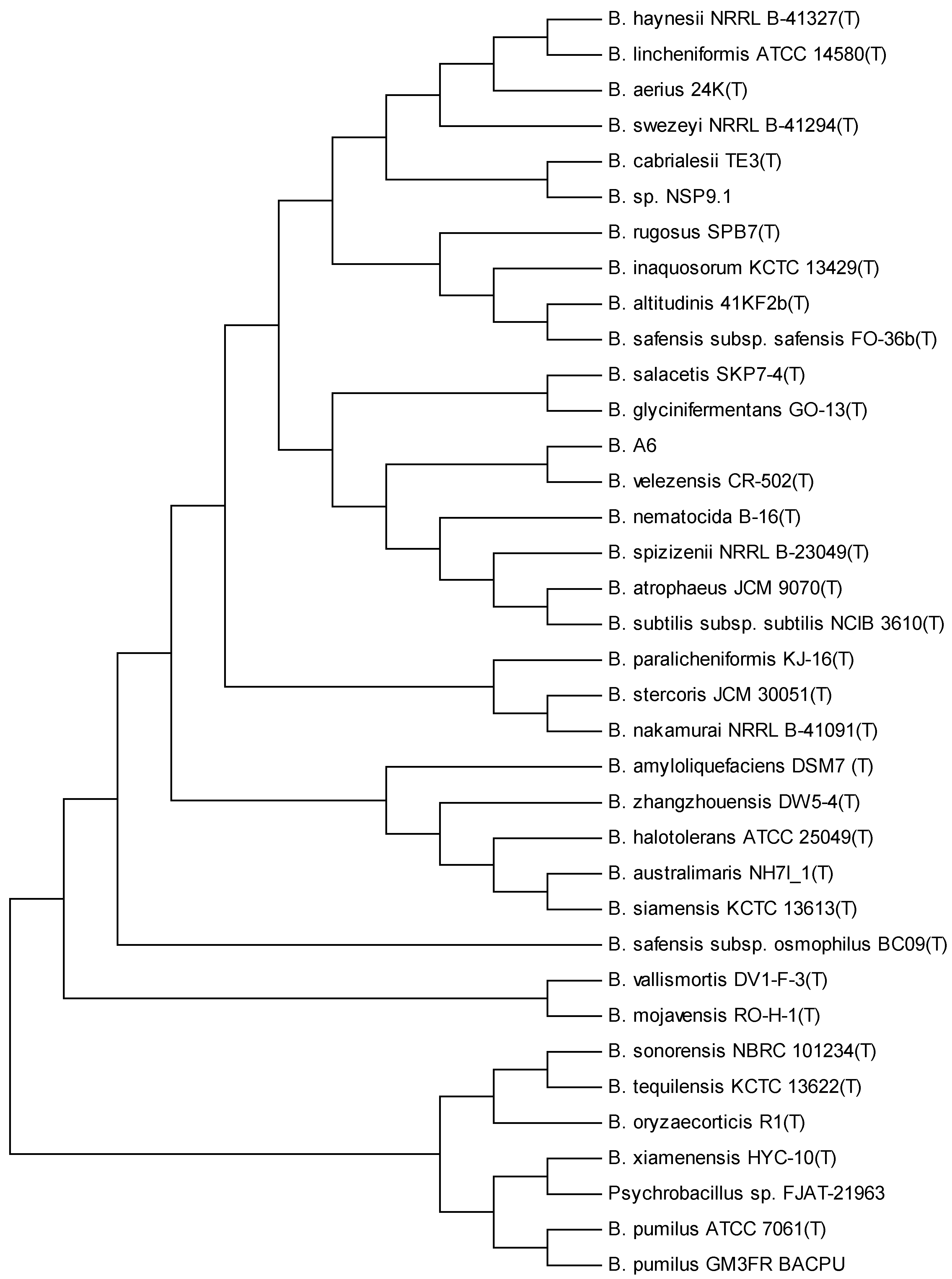 Biology 13 00668 g003