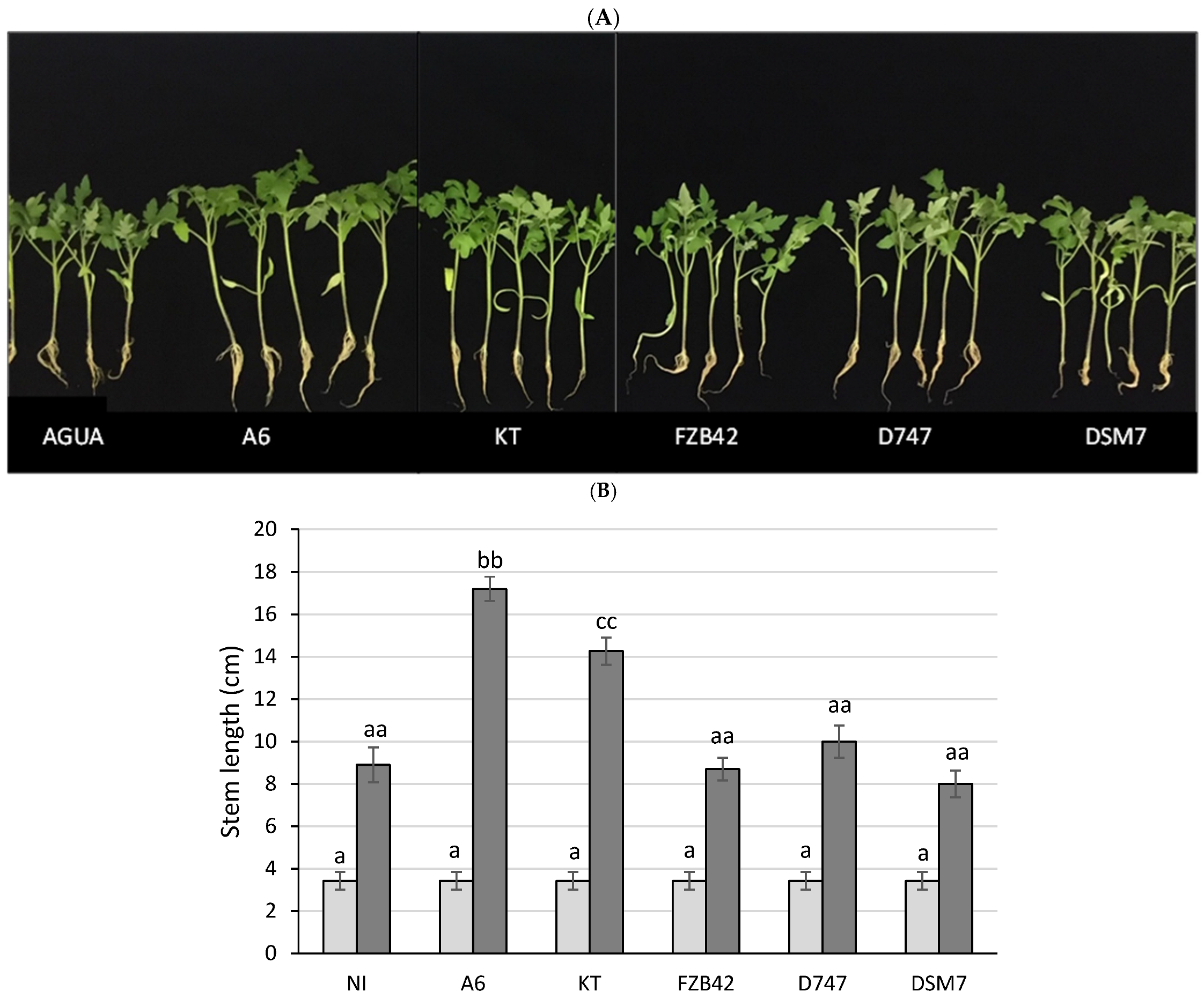 Biology 13 00668 g004a