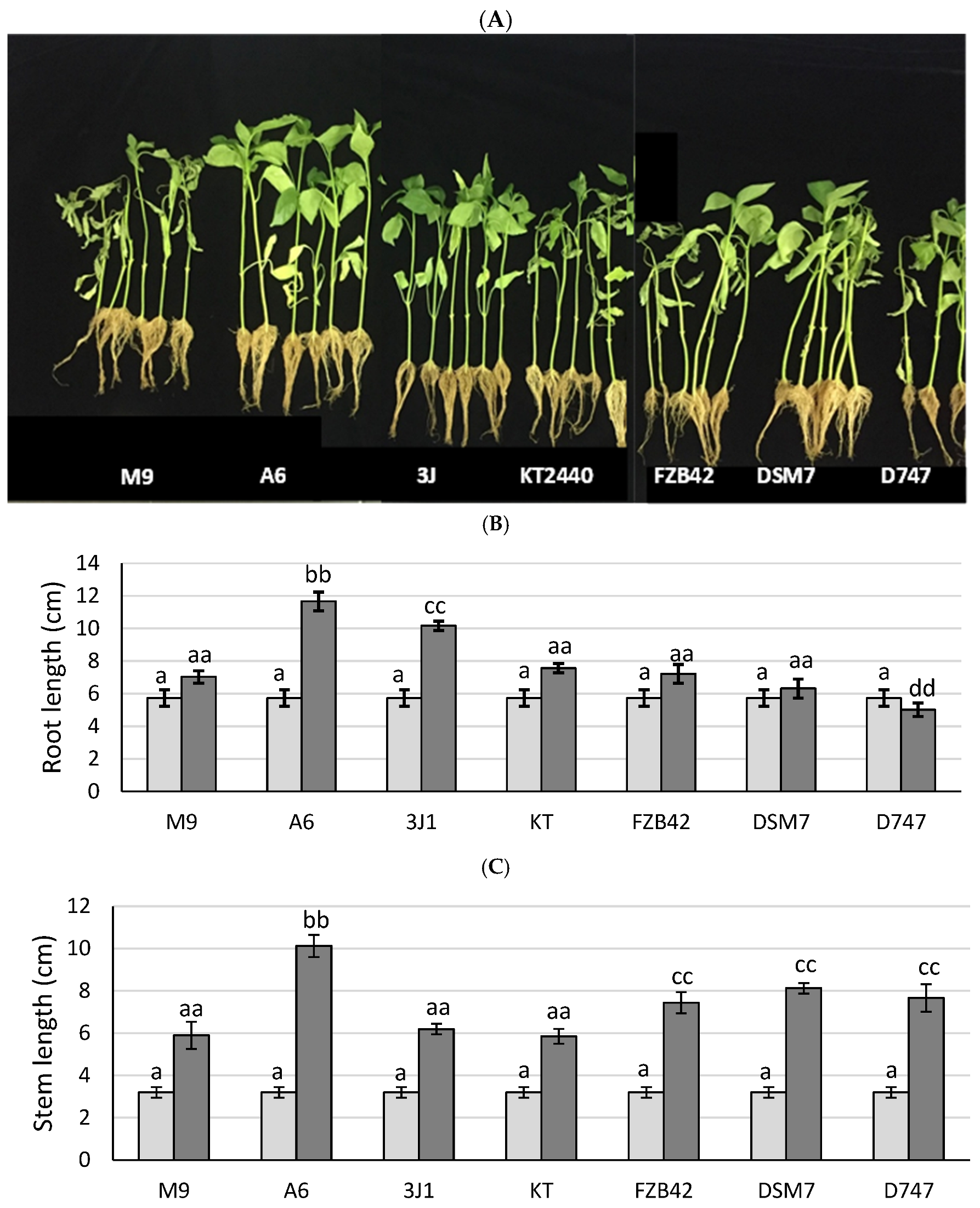 Biology 13 00668 g005a