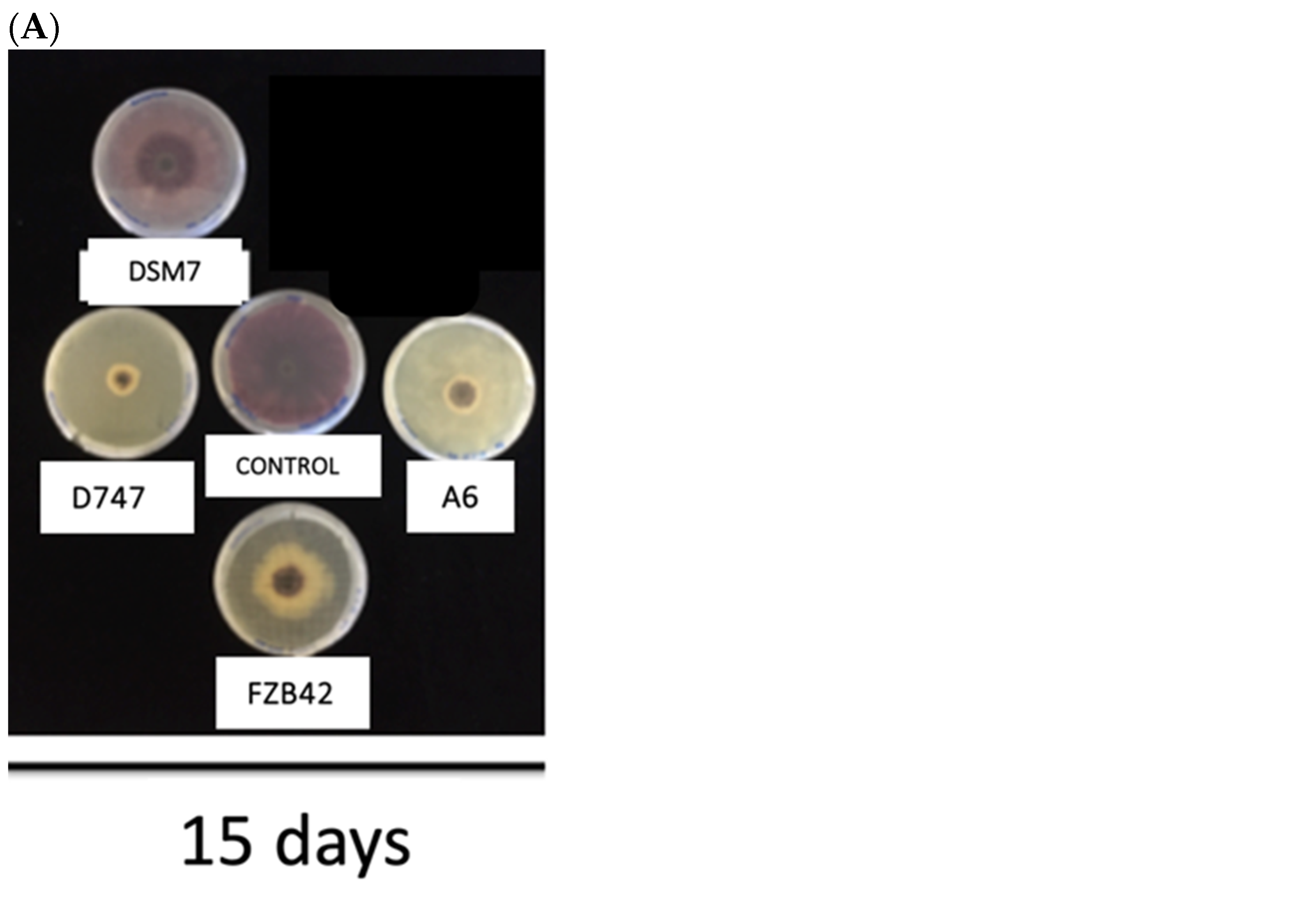 Biology 13 00668 g006a