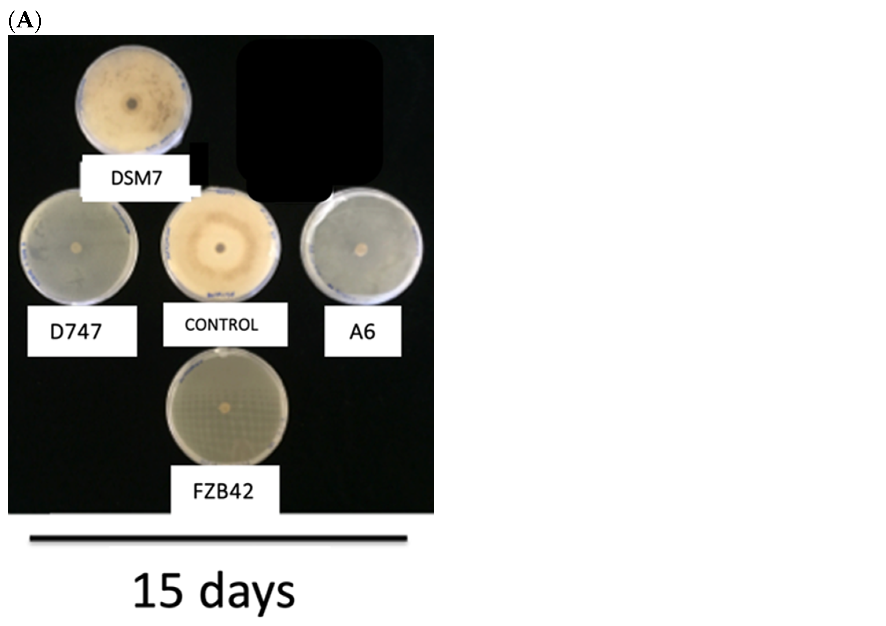 Biology 13 00668 g007a
