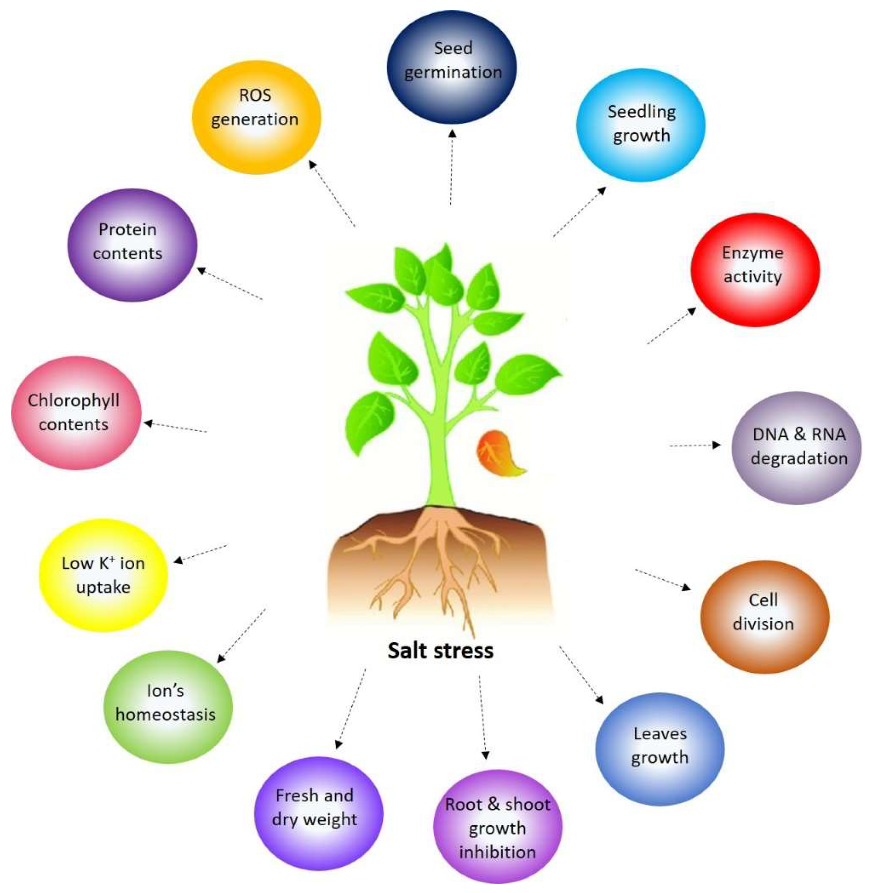 Biology 13 00673 g001