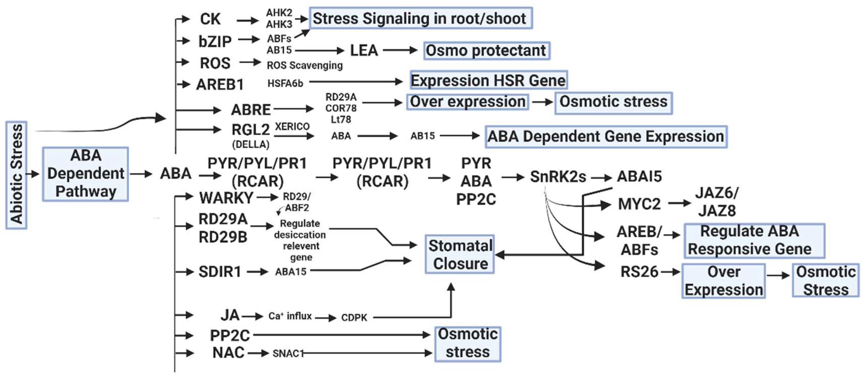 Biology 13 00673 g002