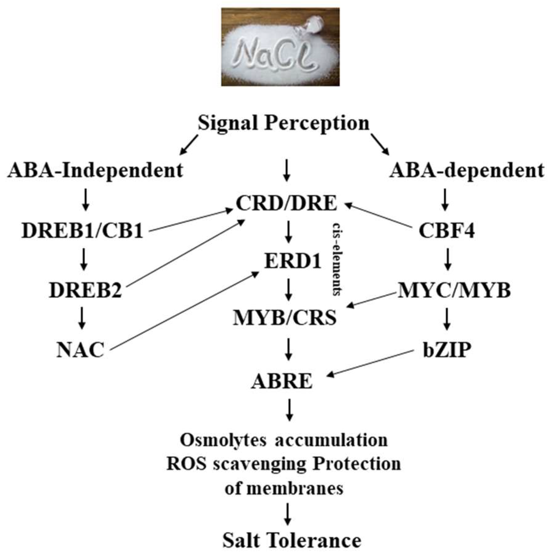 Biology 13 00673 g003