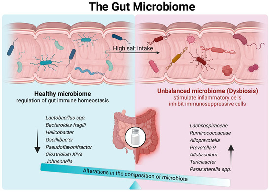 High-Salt Diet and Intestinal Microbiota: Influence on