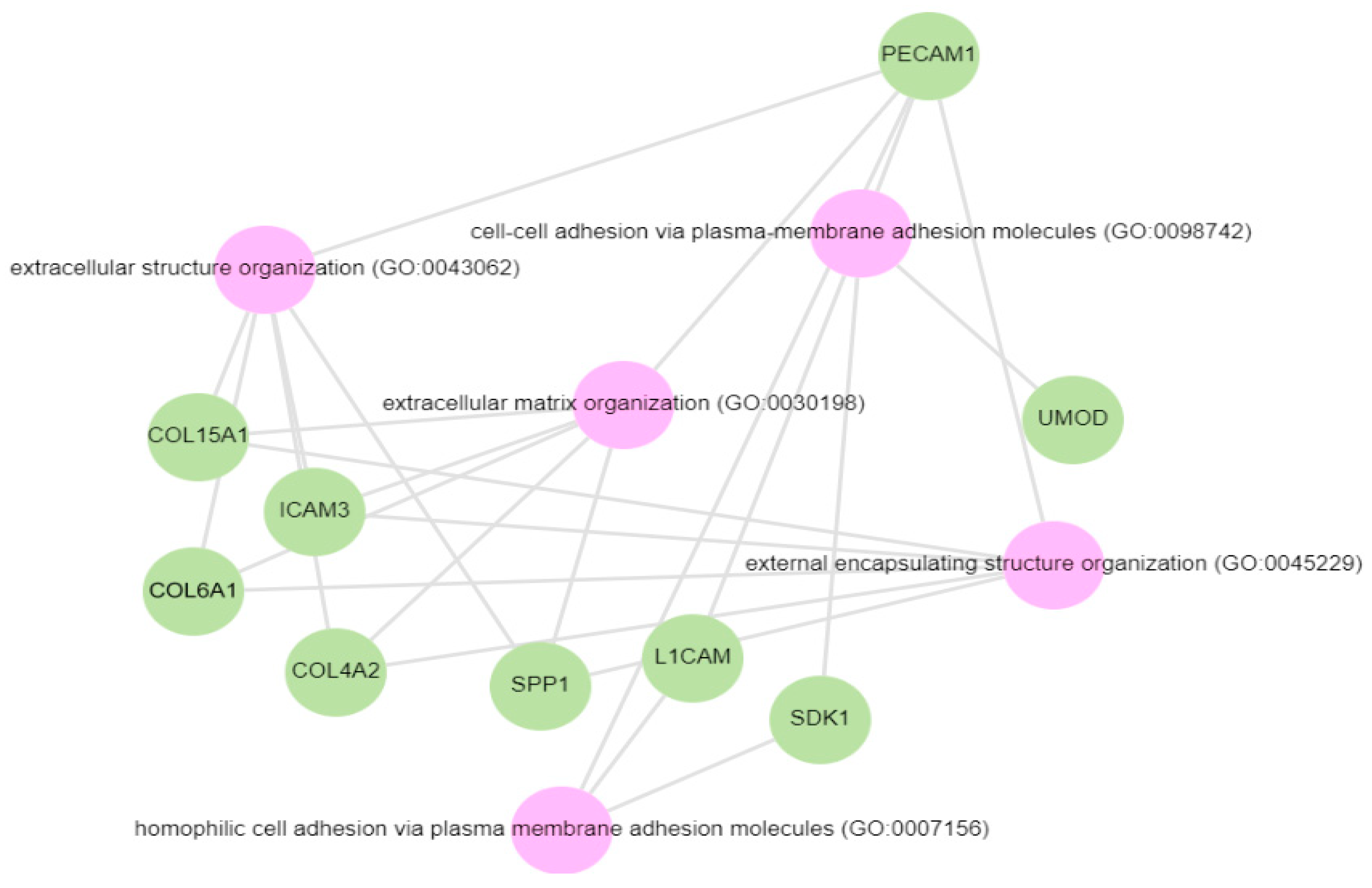 Biology 13 00680 g007 Biology 13 00680 g007