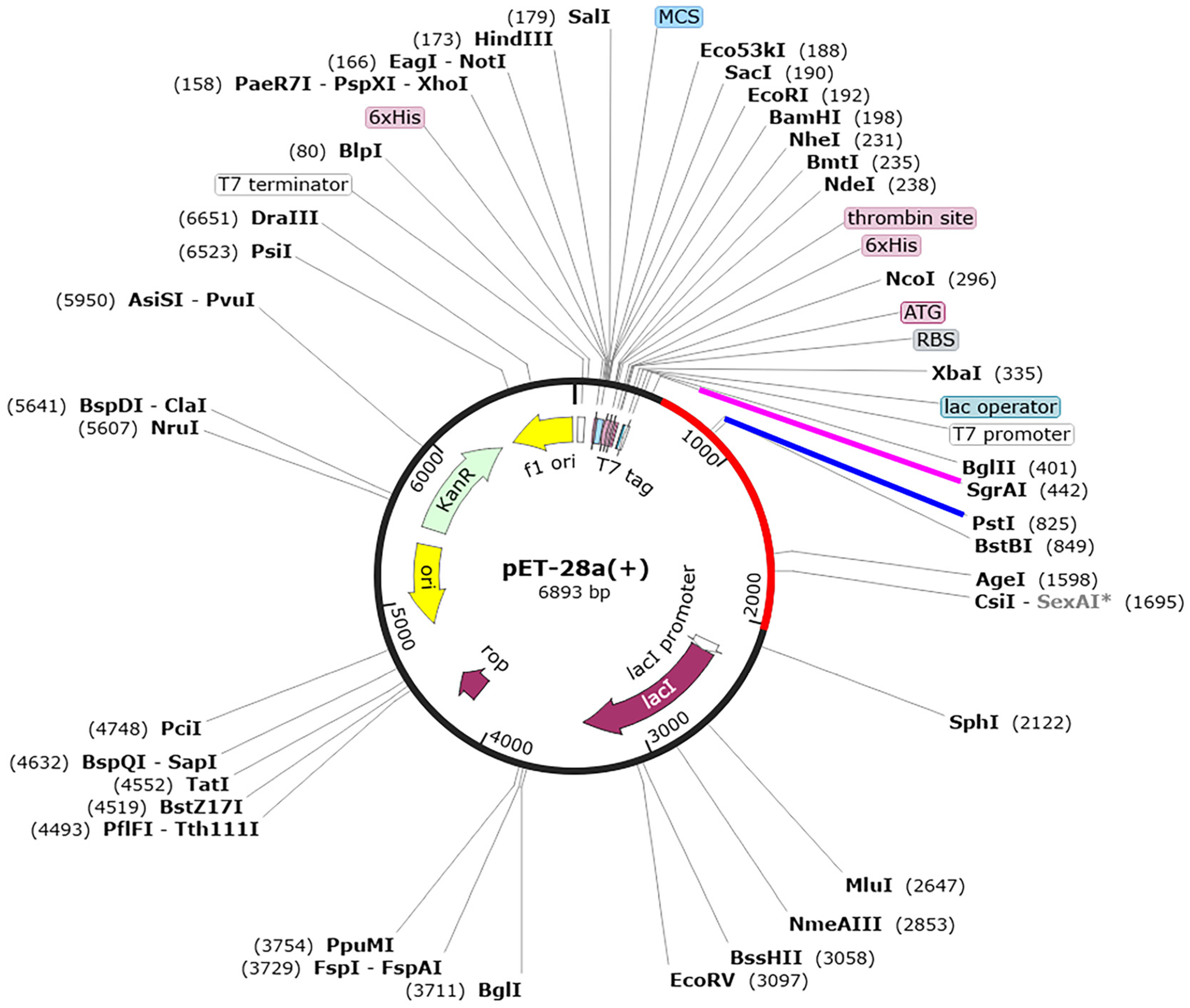 Biology 13 00681 g008